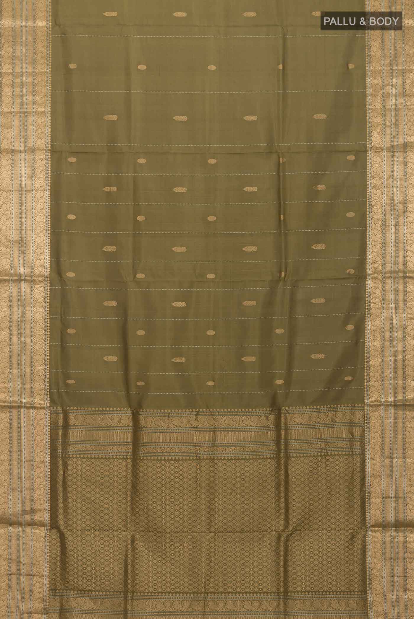pallu body