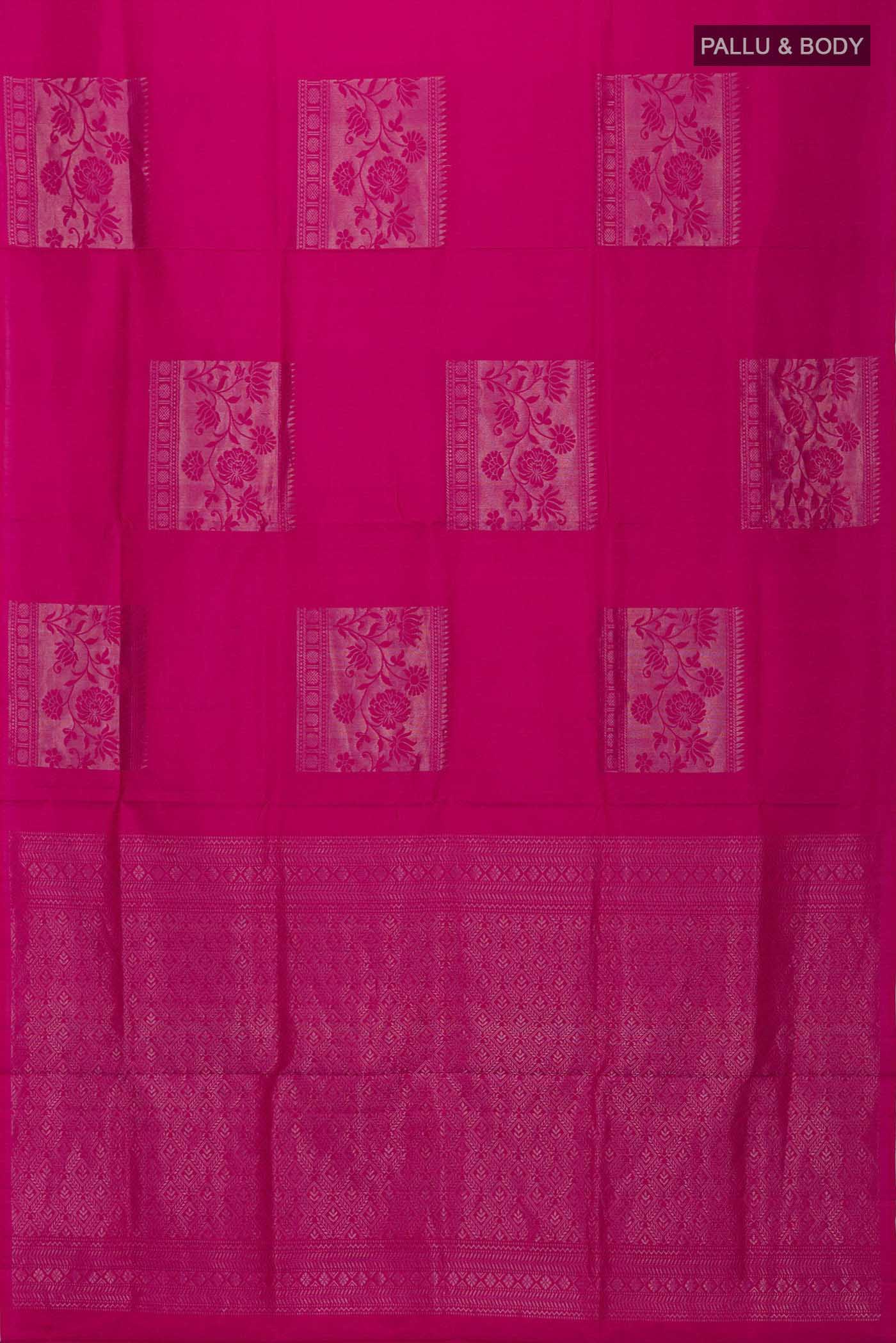 pallu body