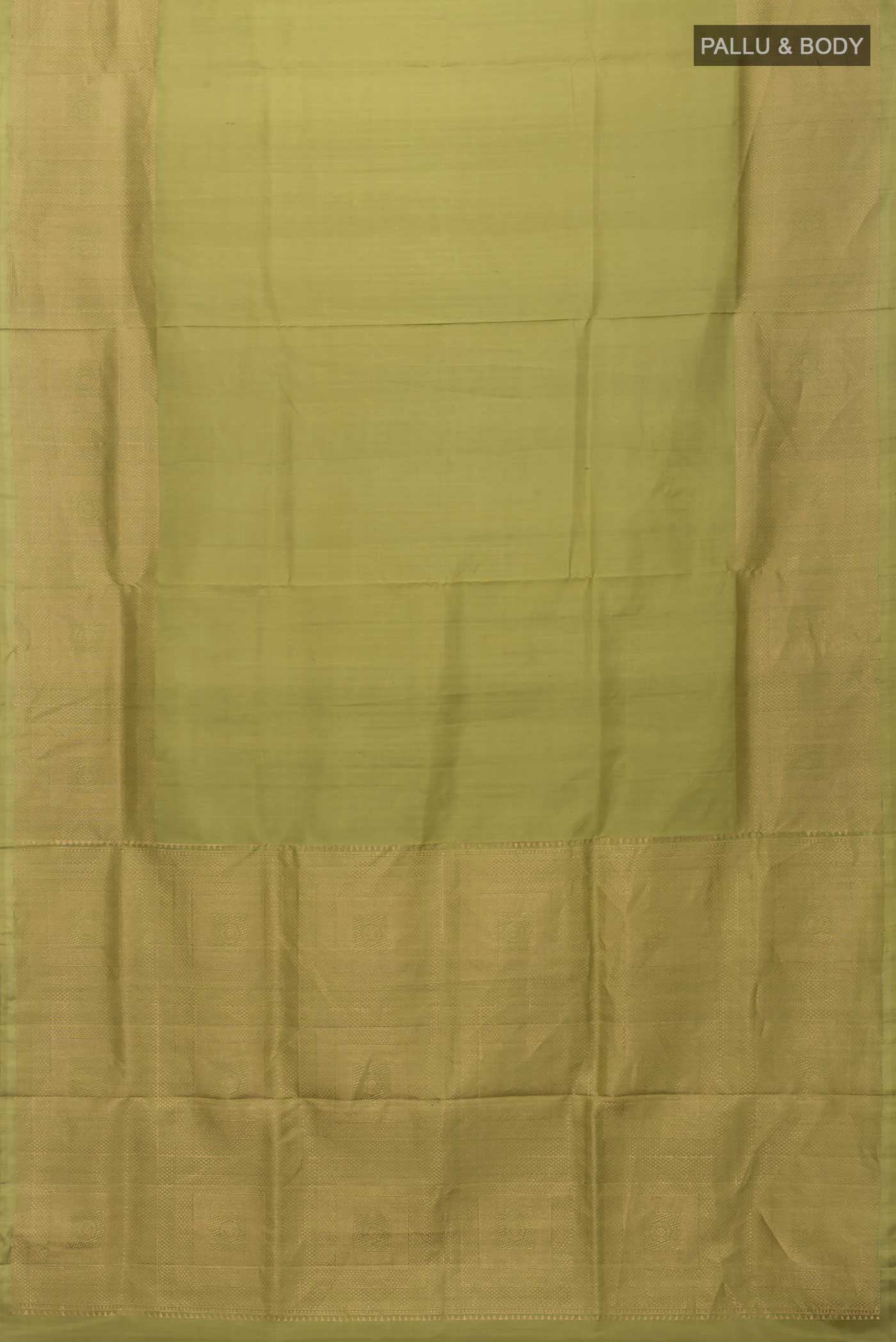 pallu body