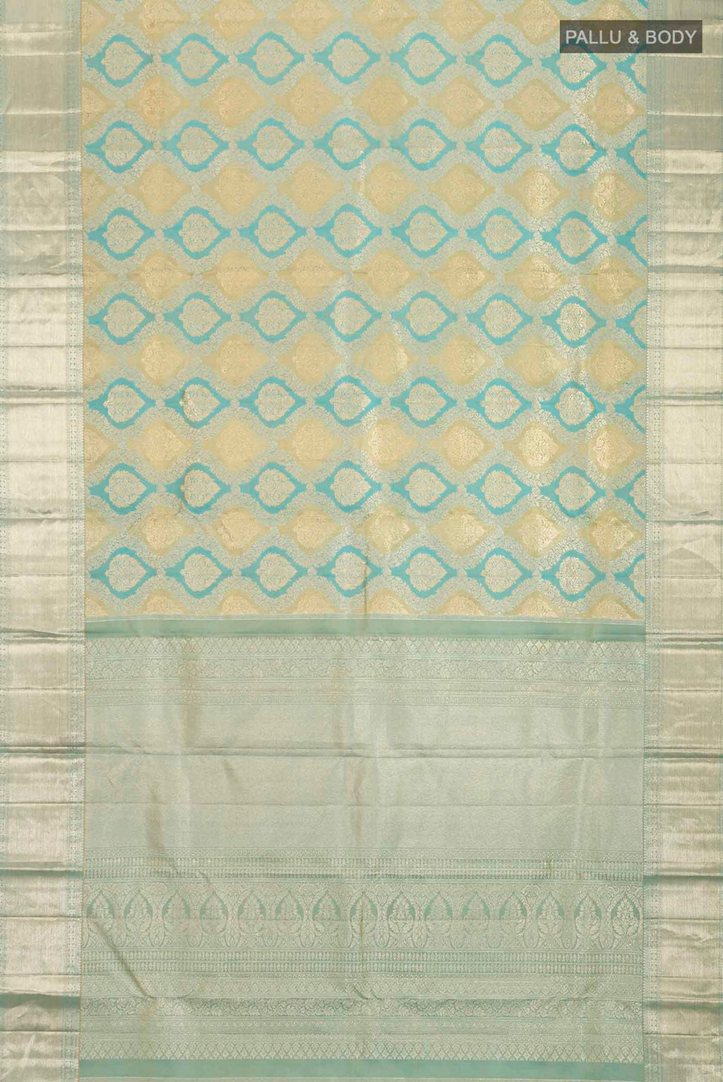 pallu body