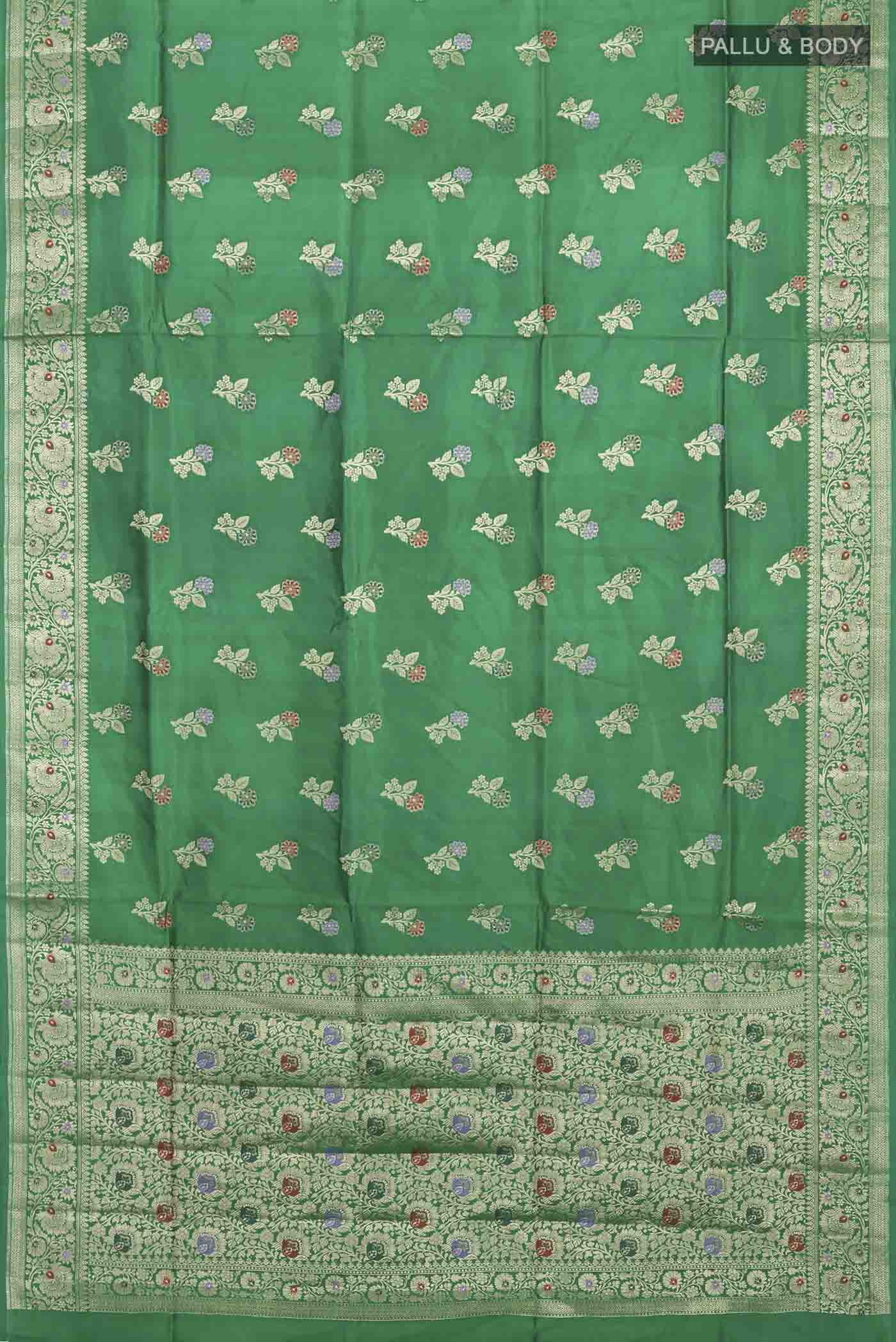 pallu body