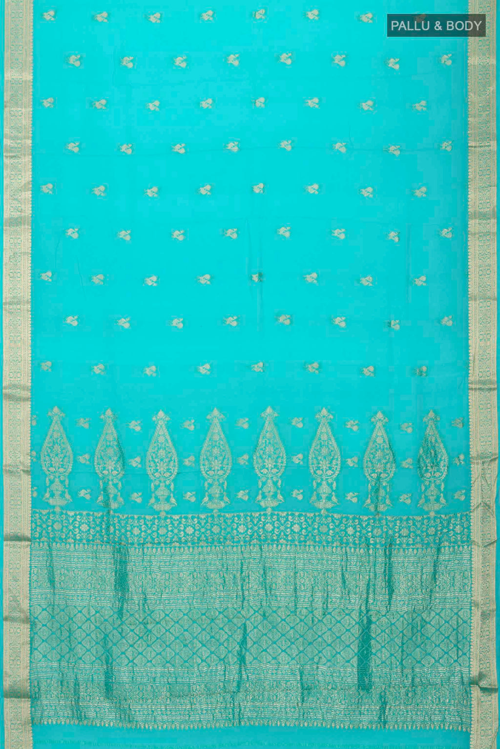 pallu body
