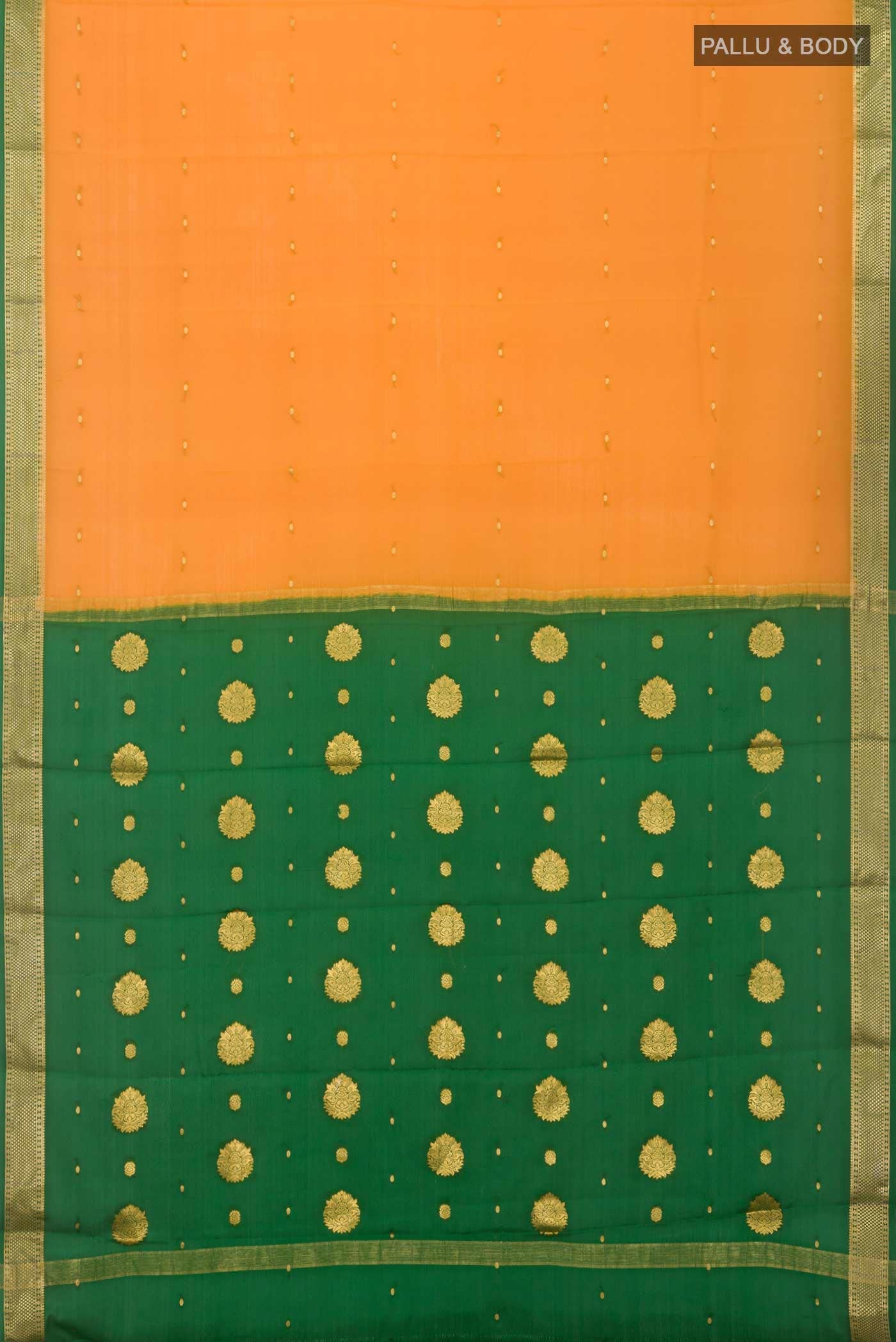 pallu body