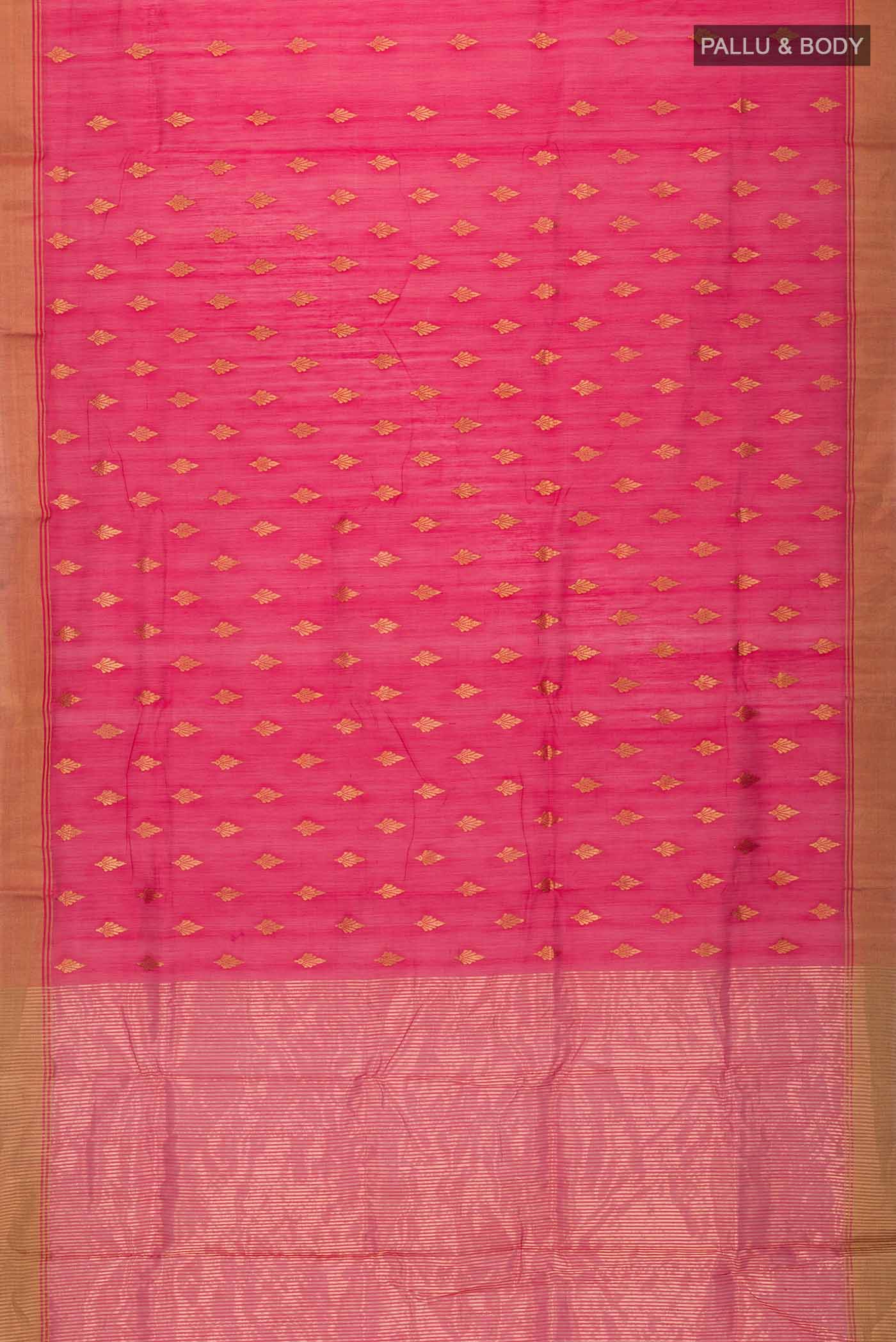 pallu body