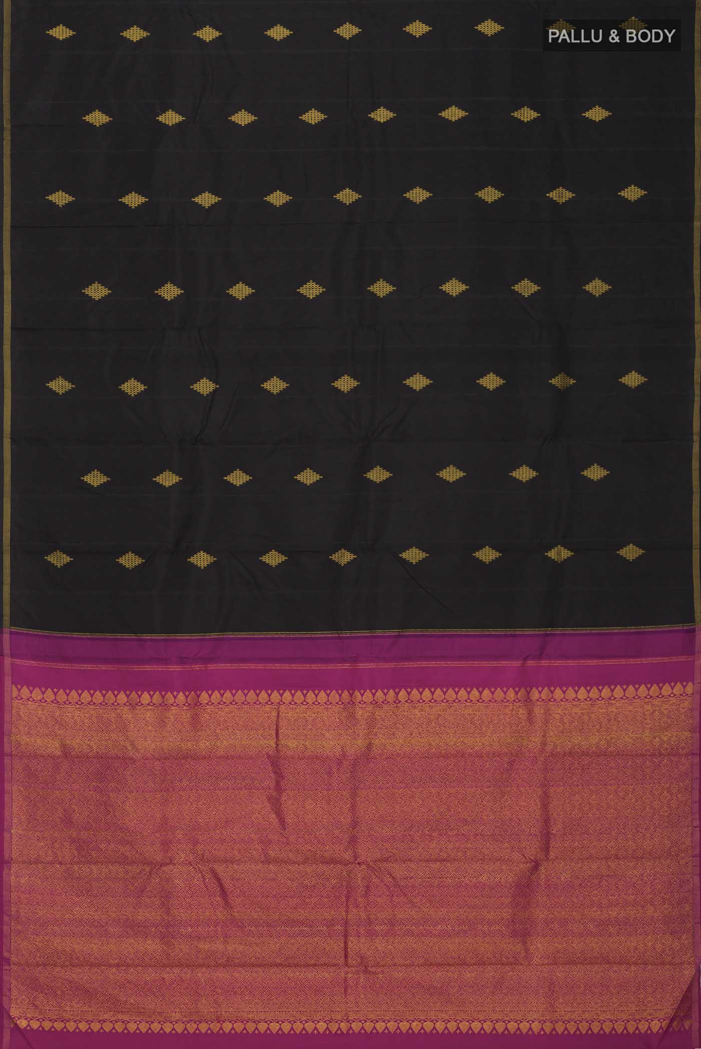 pallu body