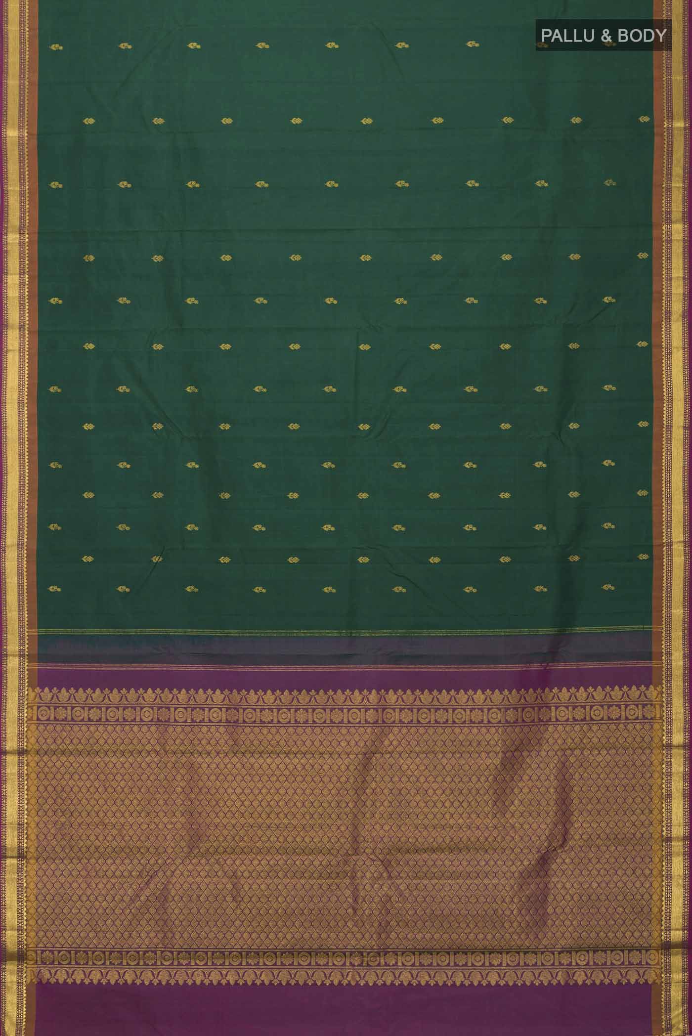 pallu body