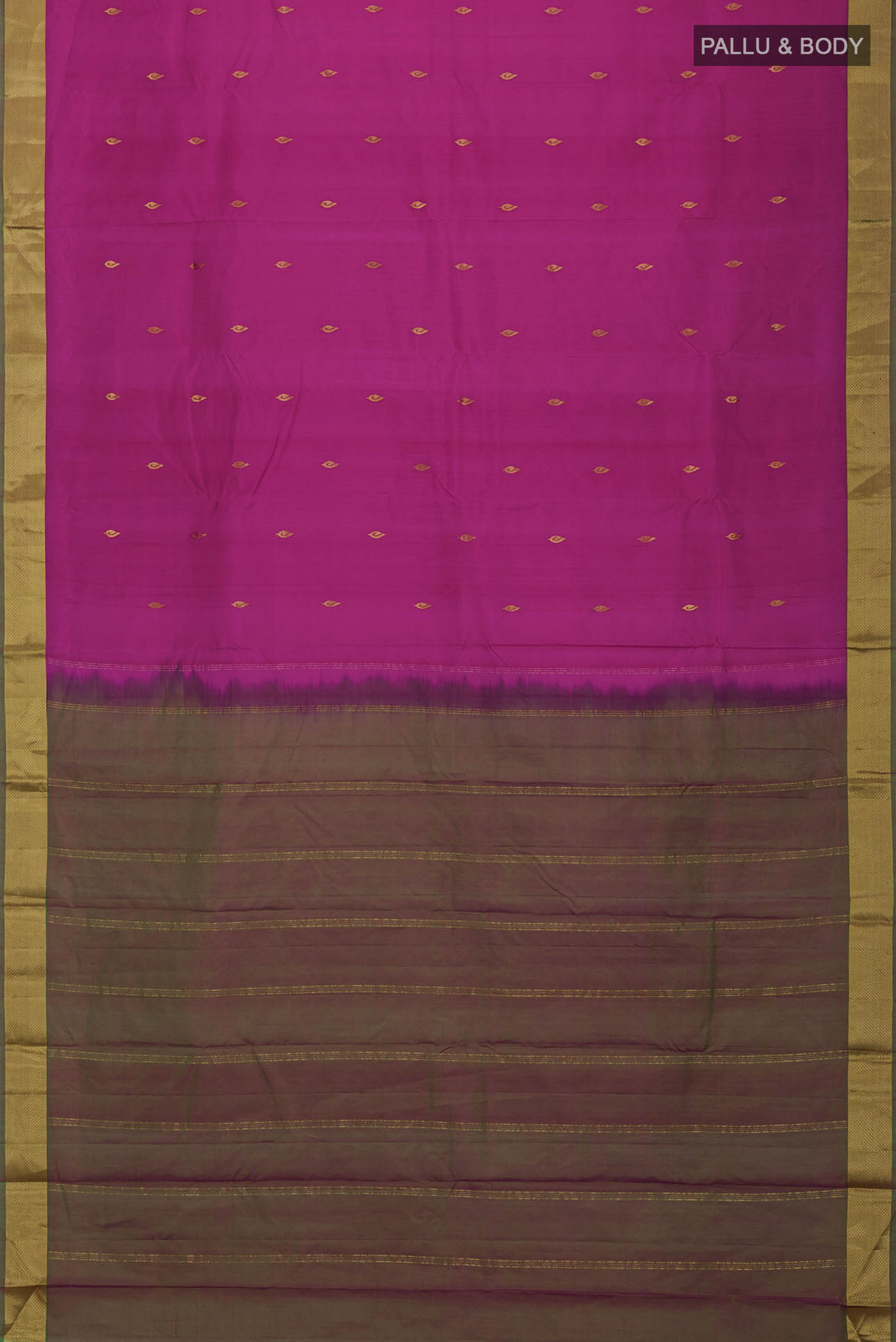 pallu body
