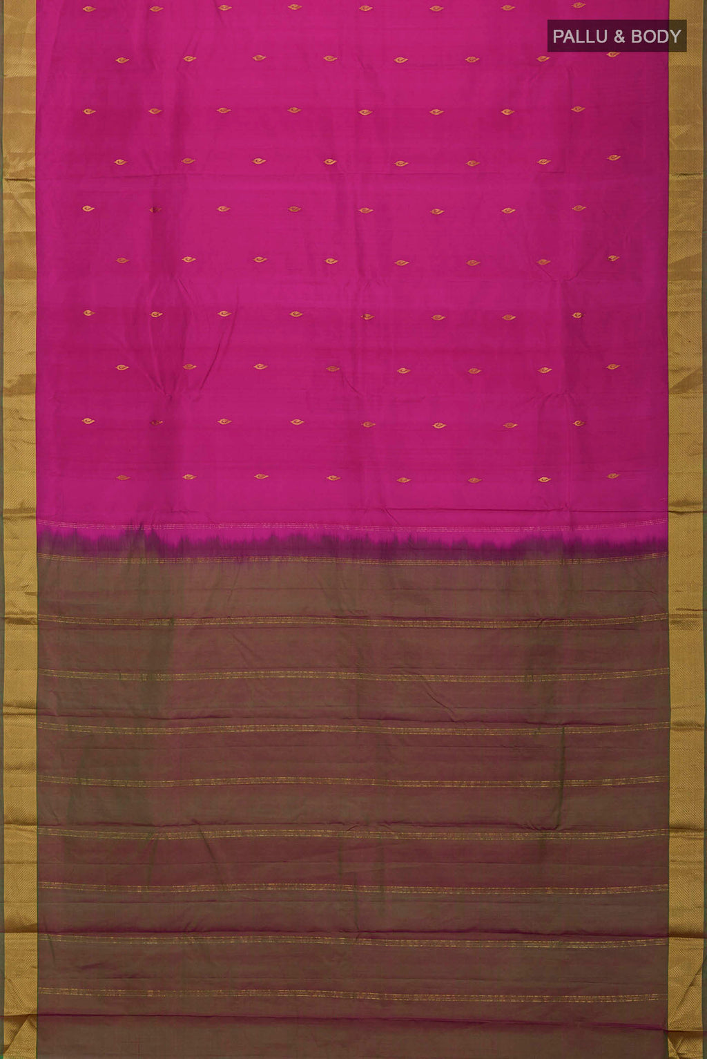 pallu body