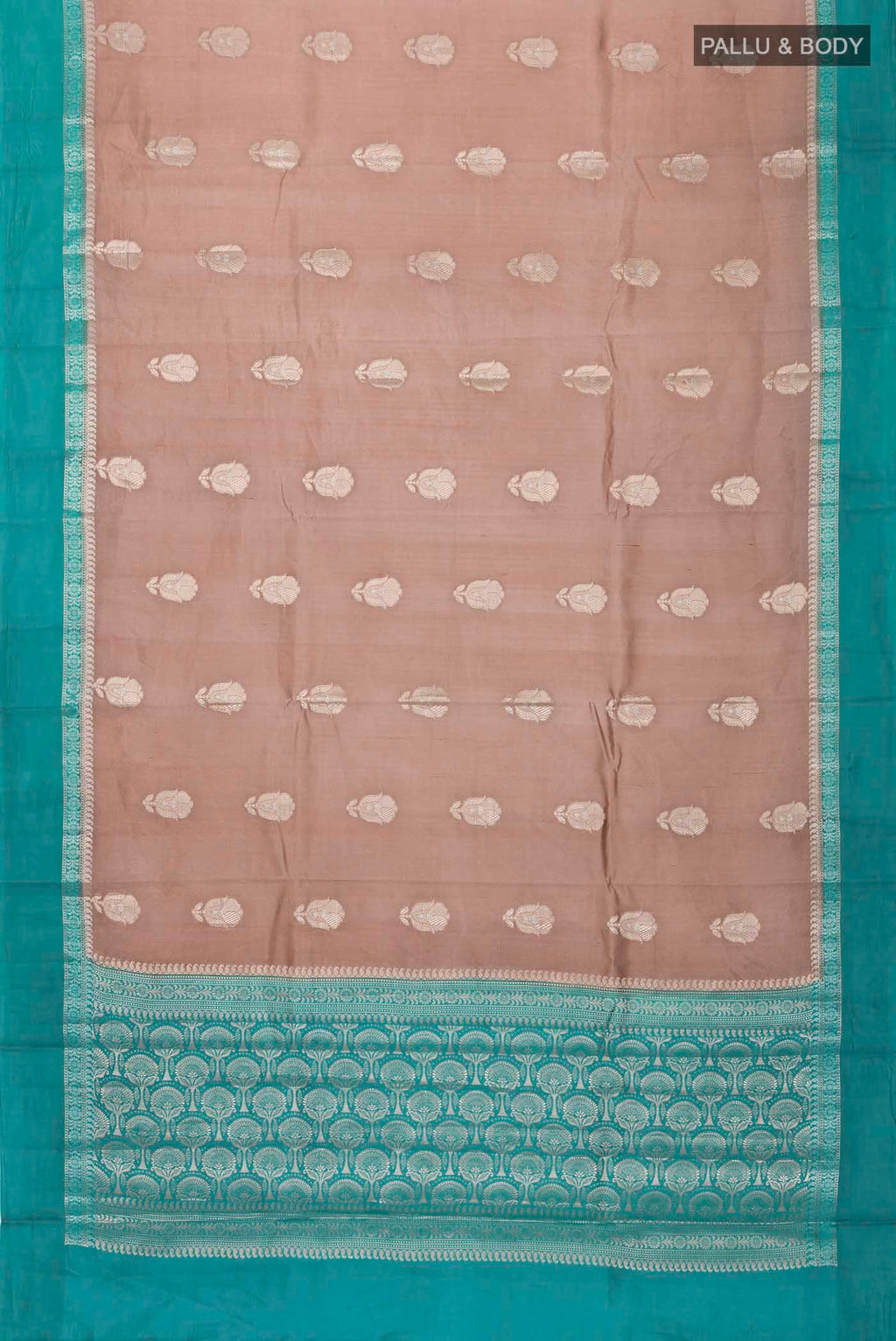 pallu body