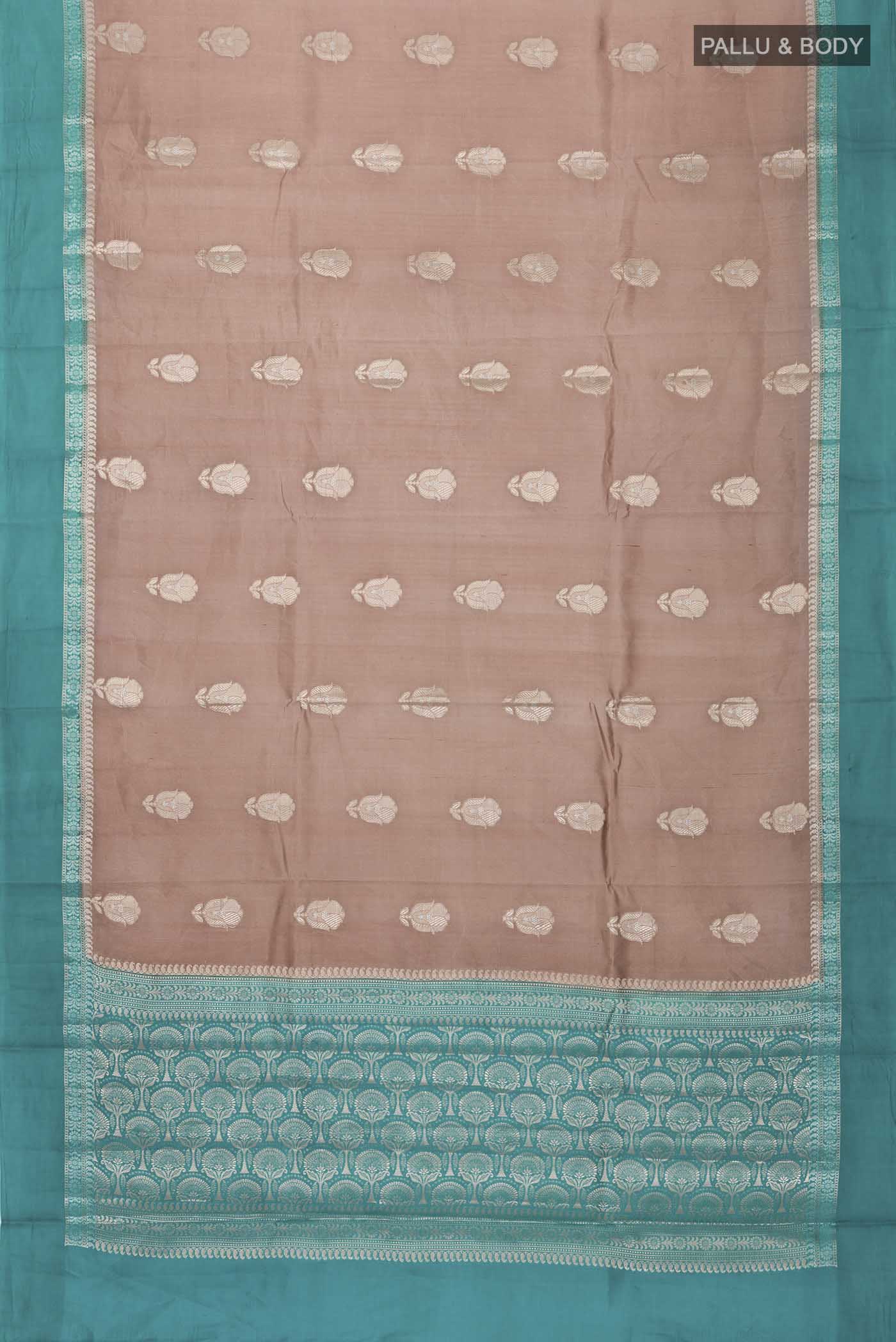 pallu body