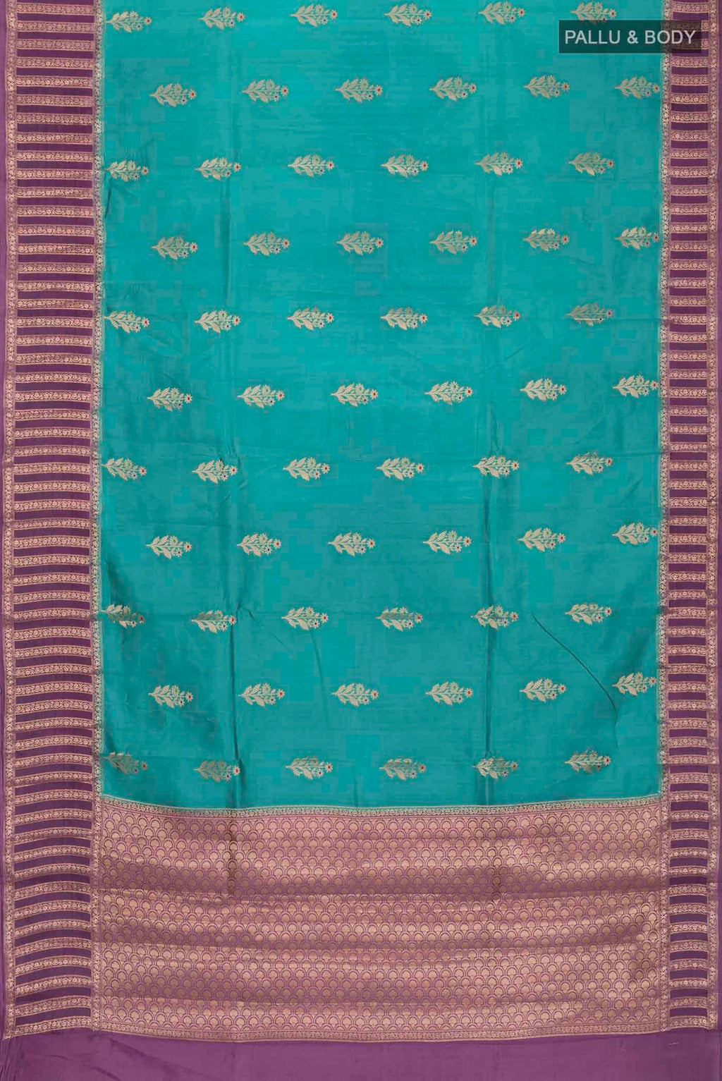 pallu body