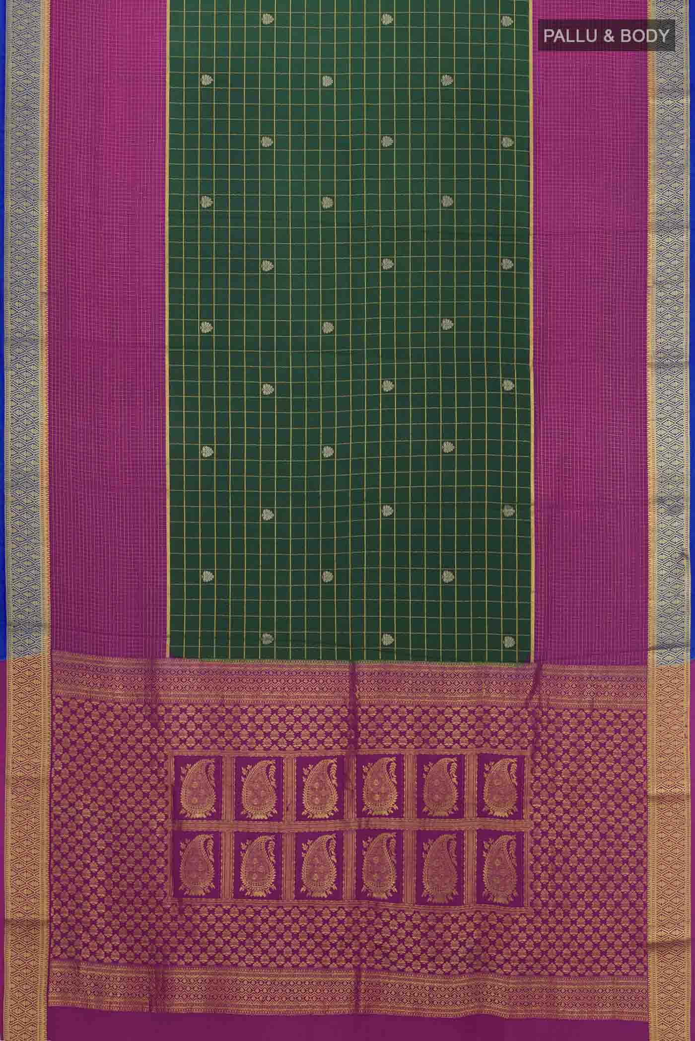 pallu body