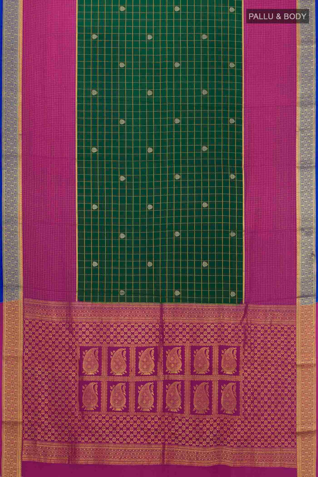 pallu body