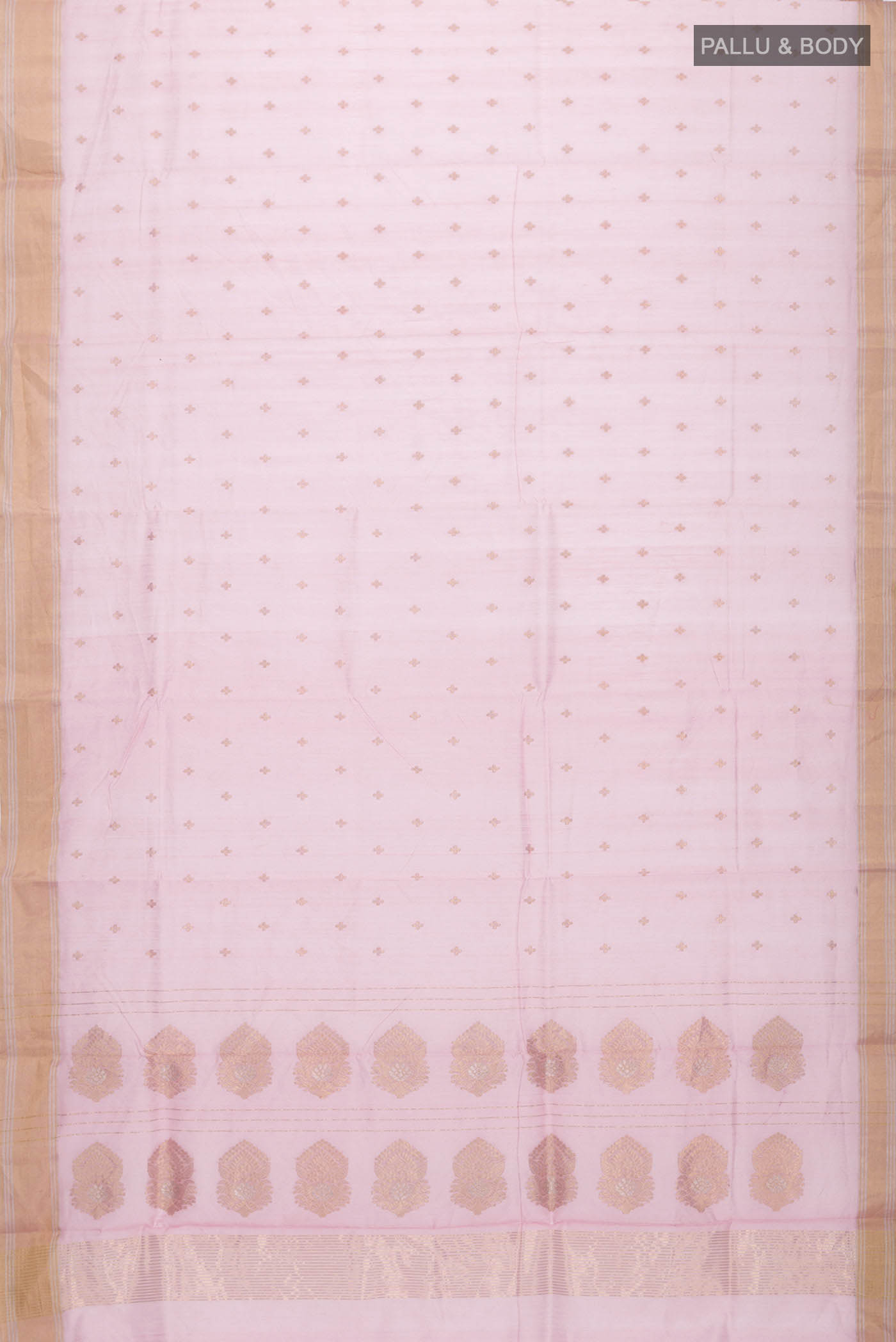 pallu body