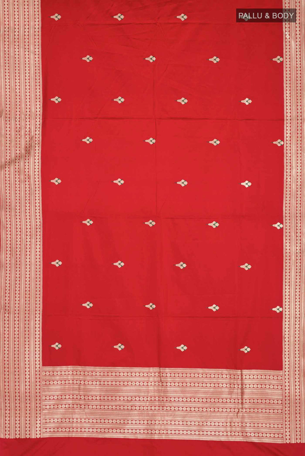 pallu body