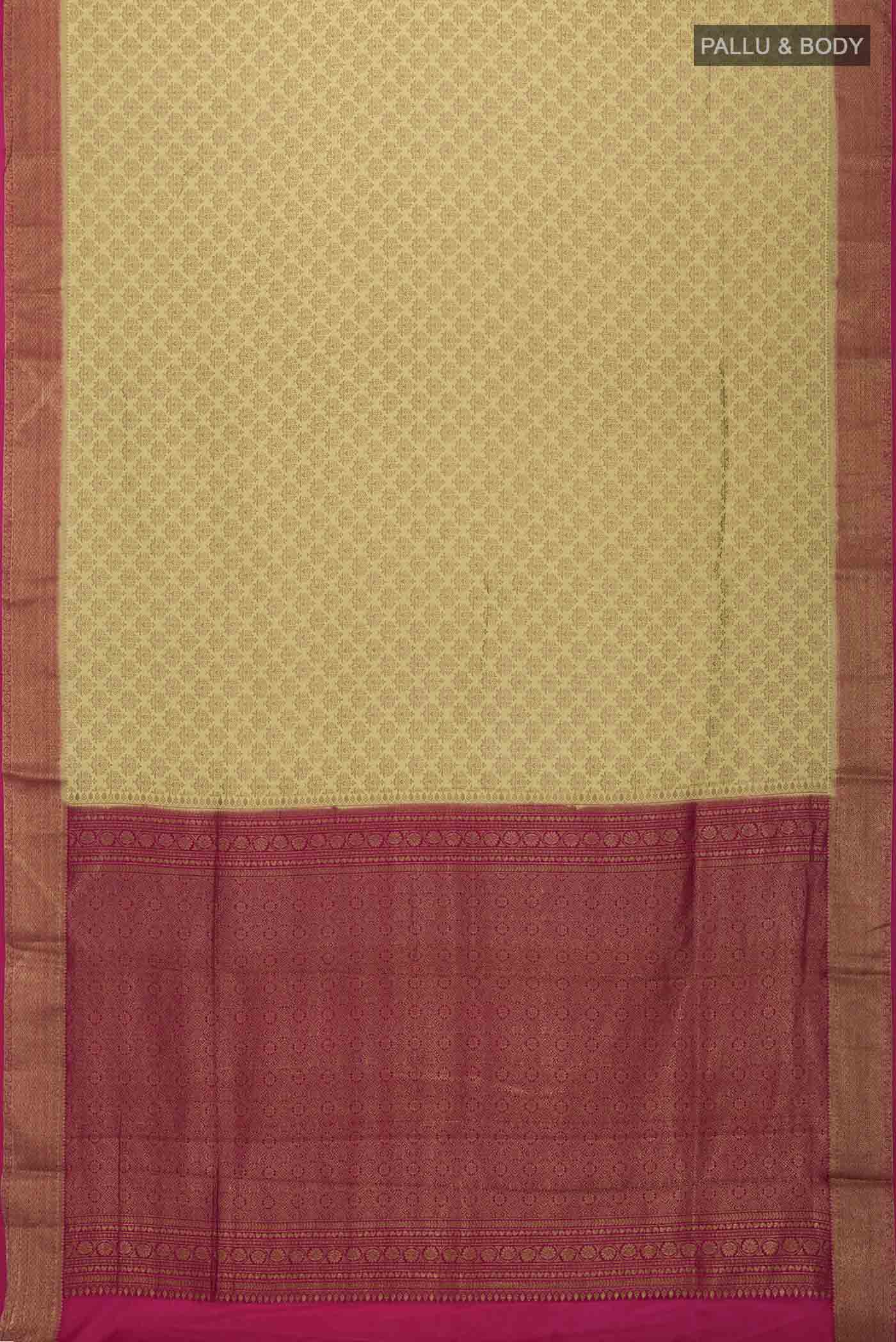 pallu body