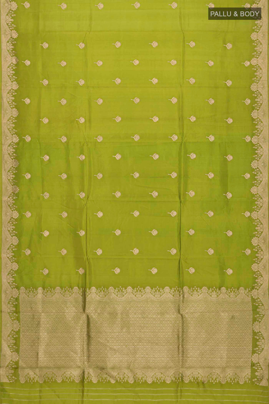 pallu body