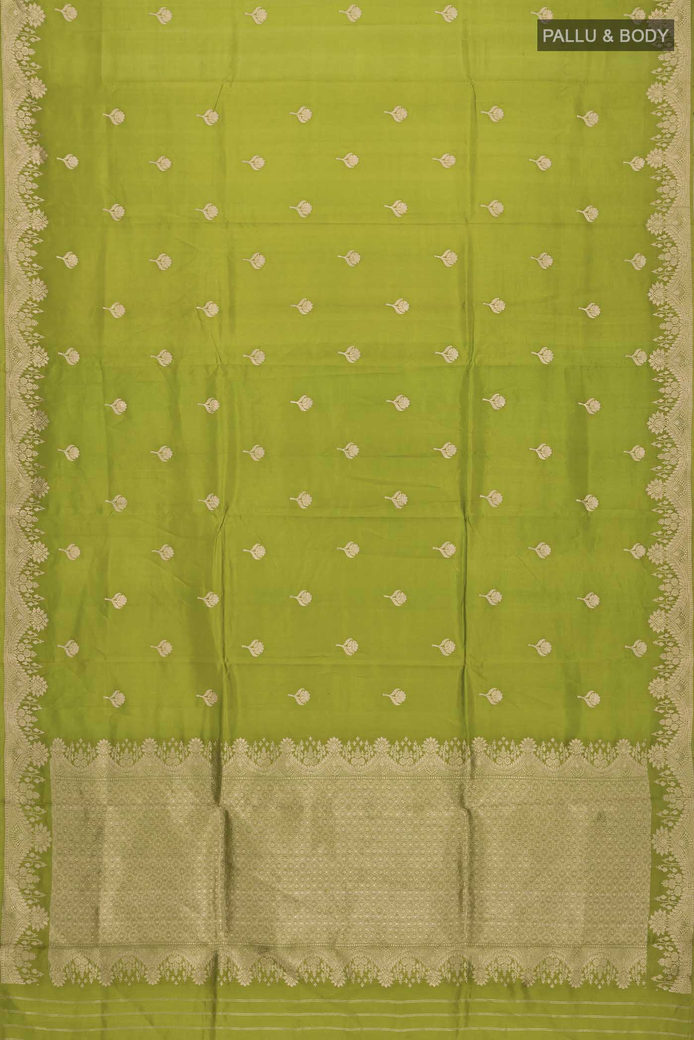 pallu body
