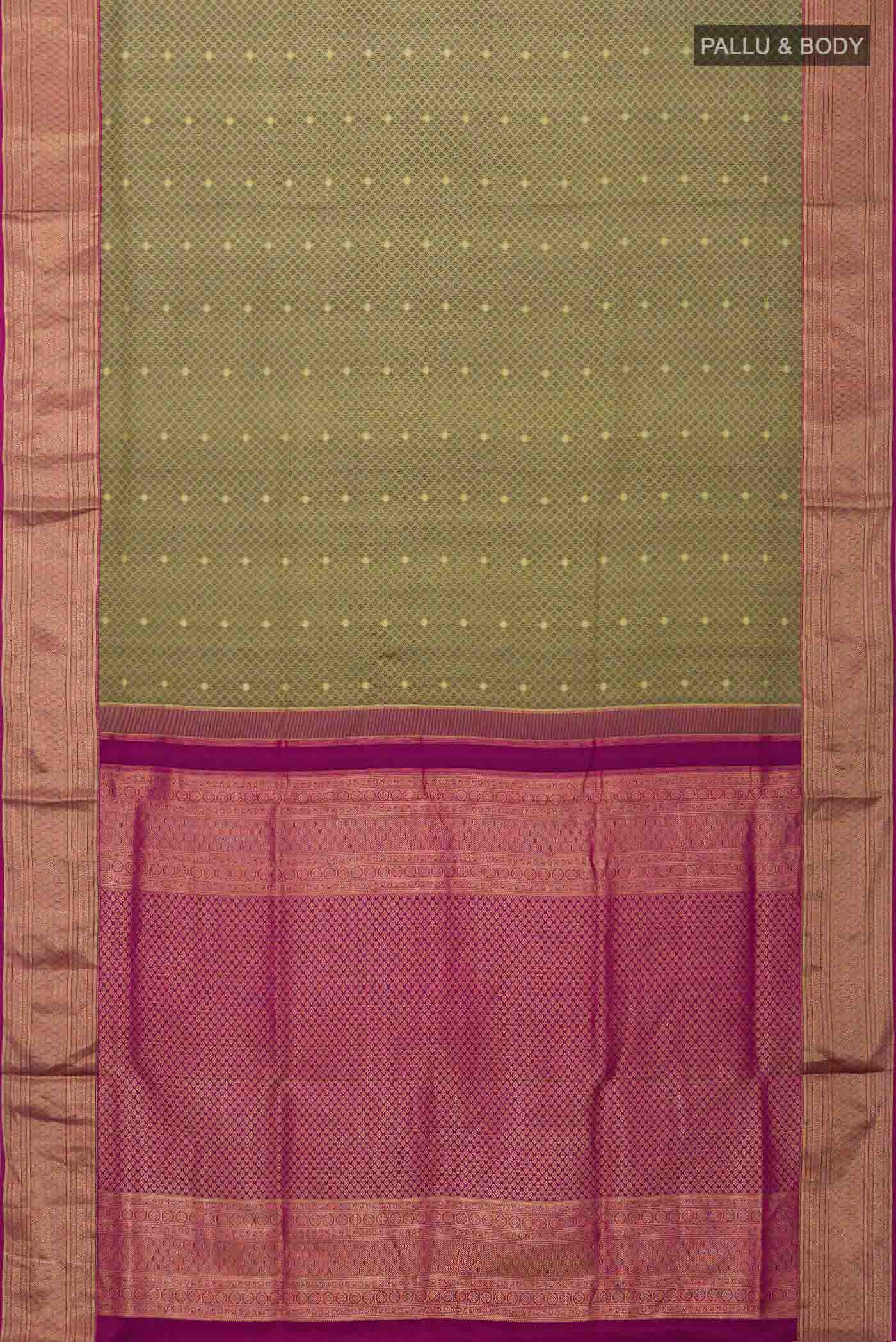 pallu body