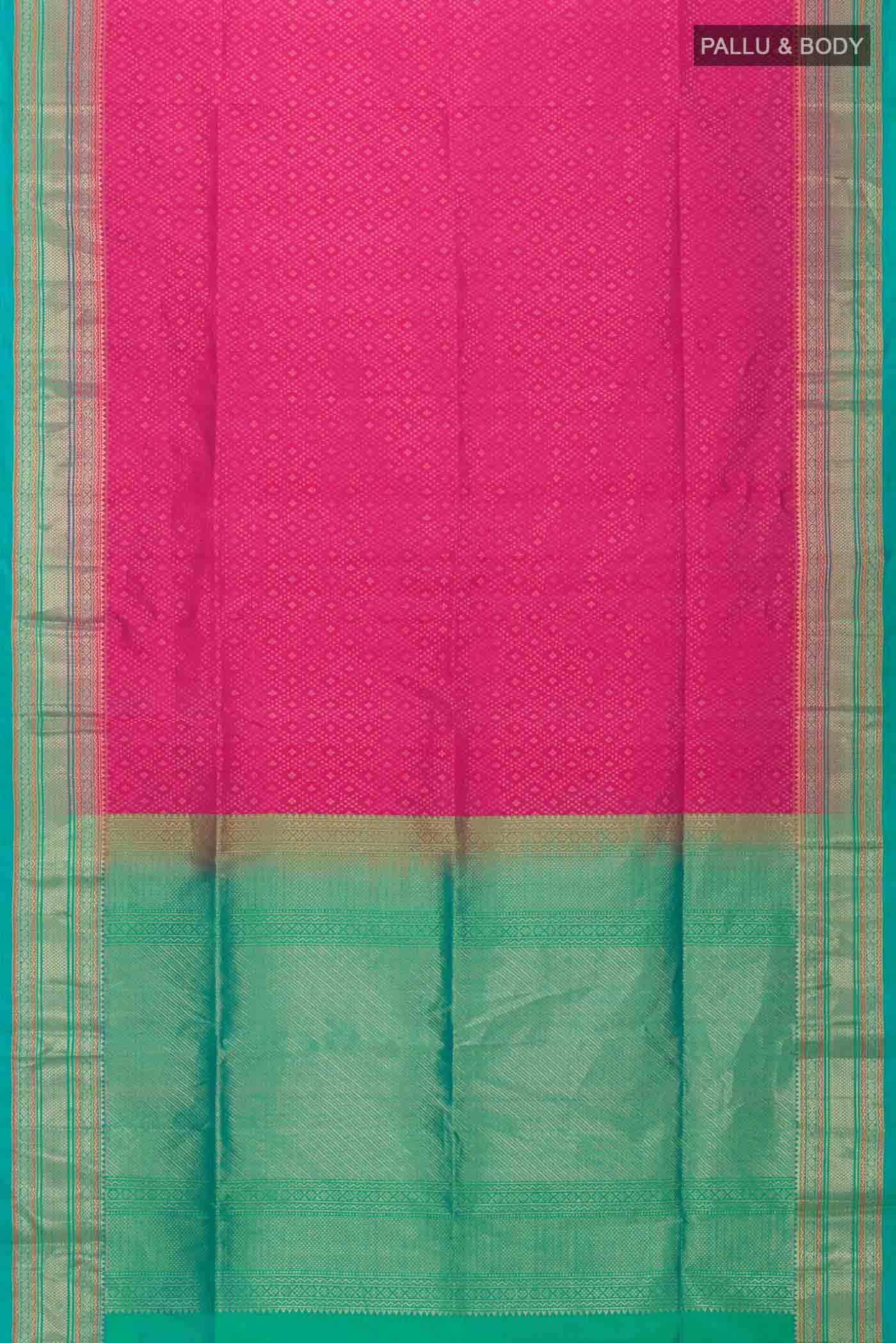 pallu body