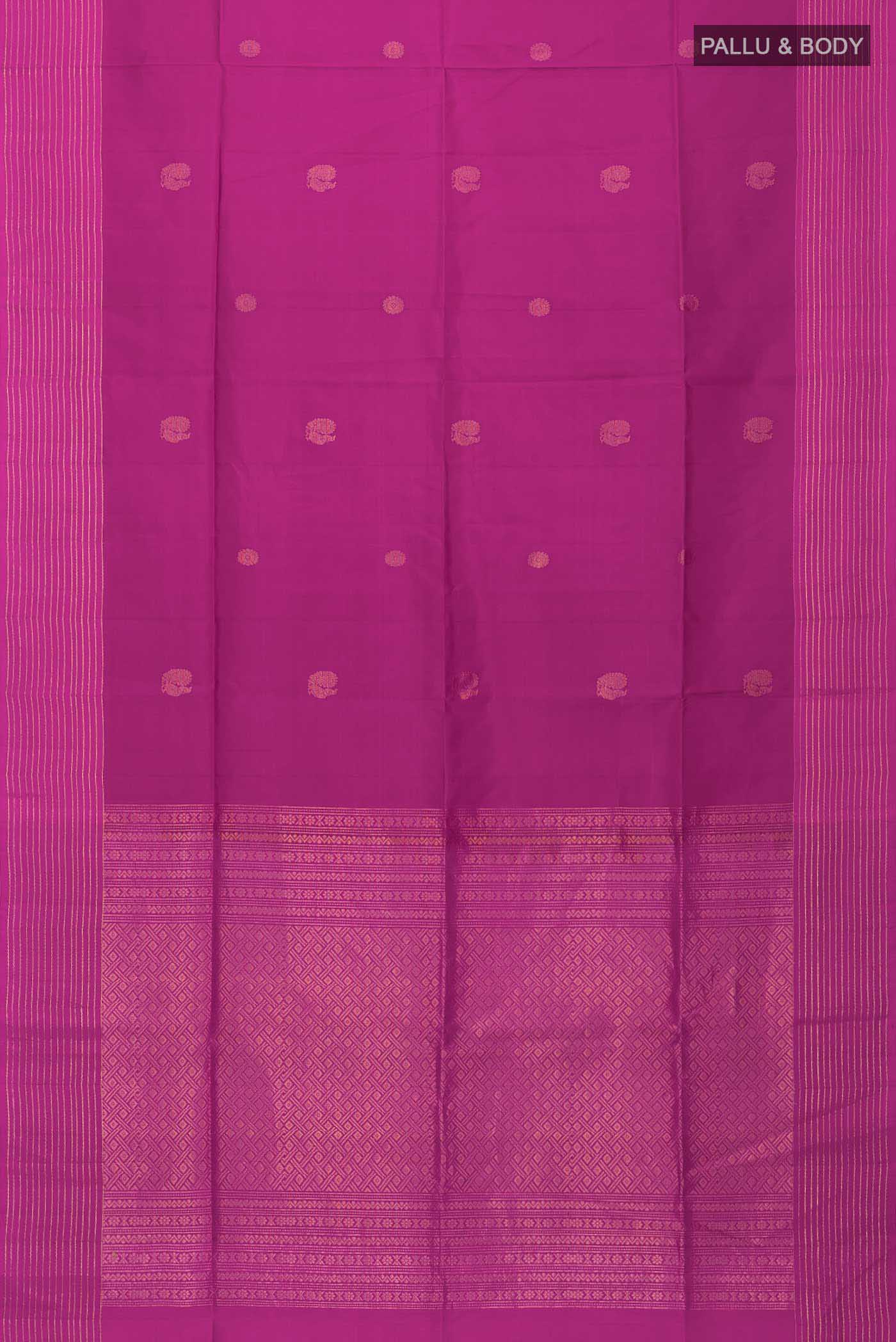 pallu body