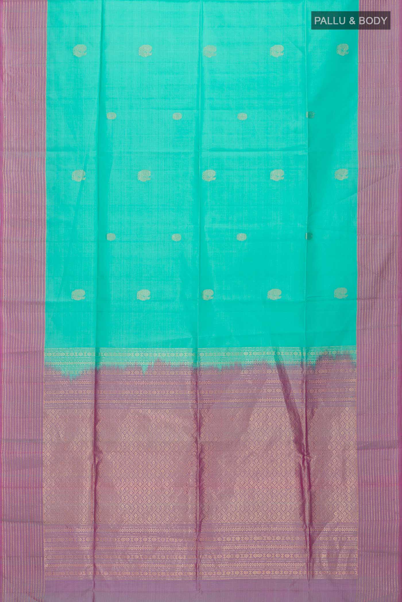 pallu body