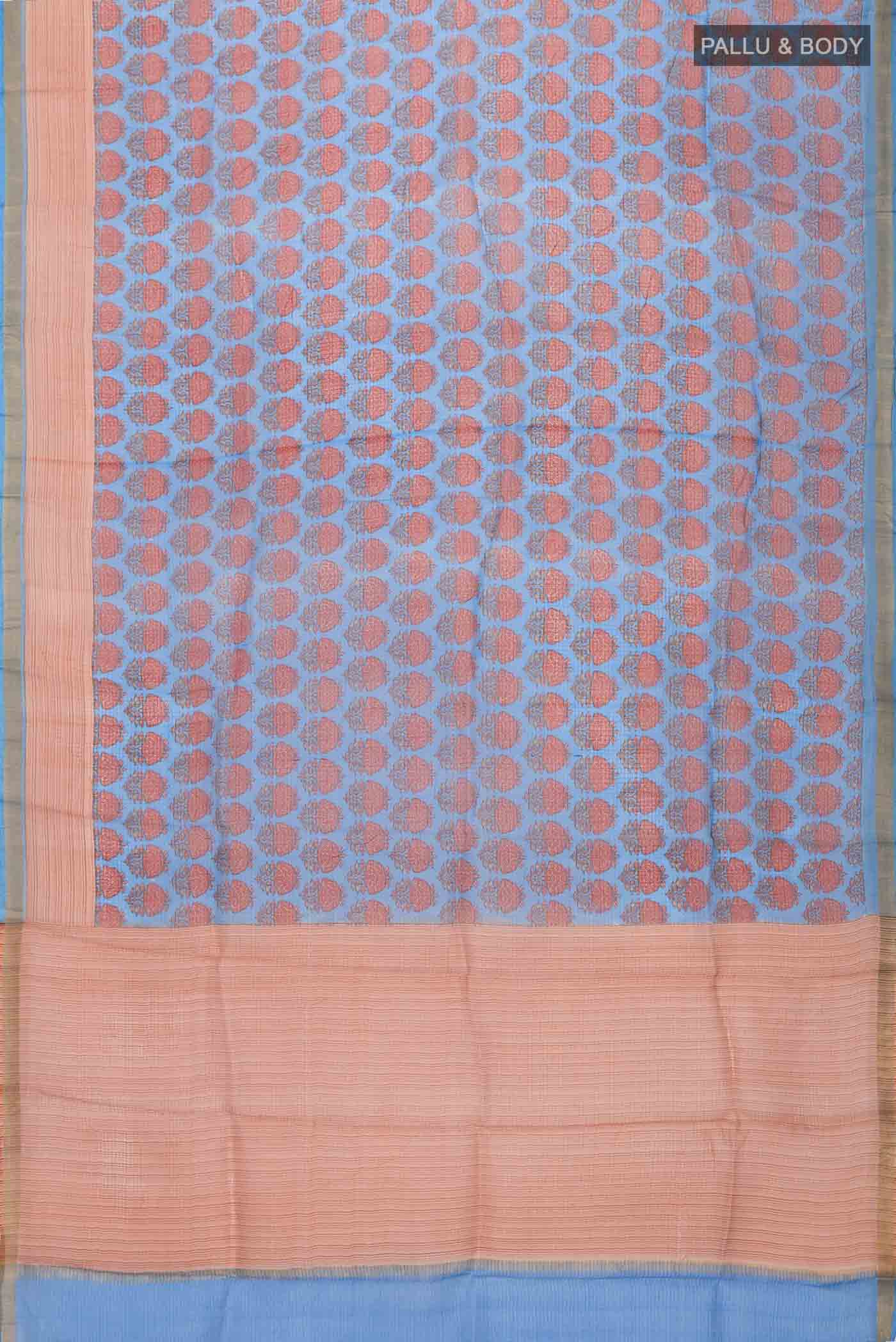 pallu body