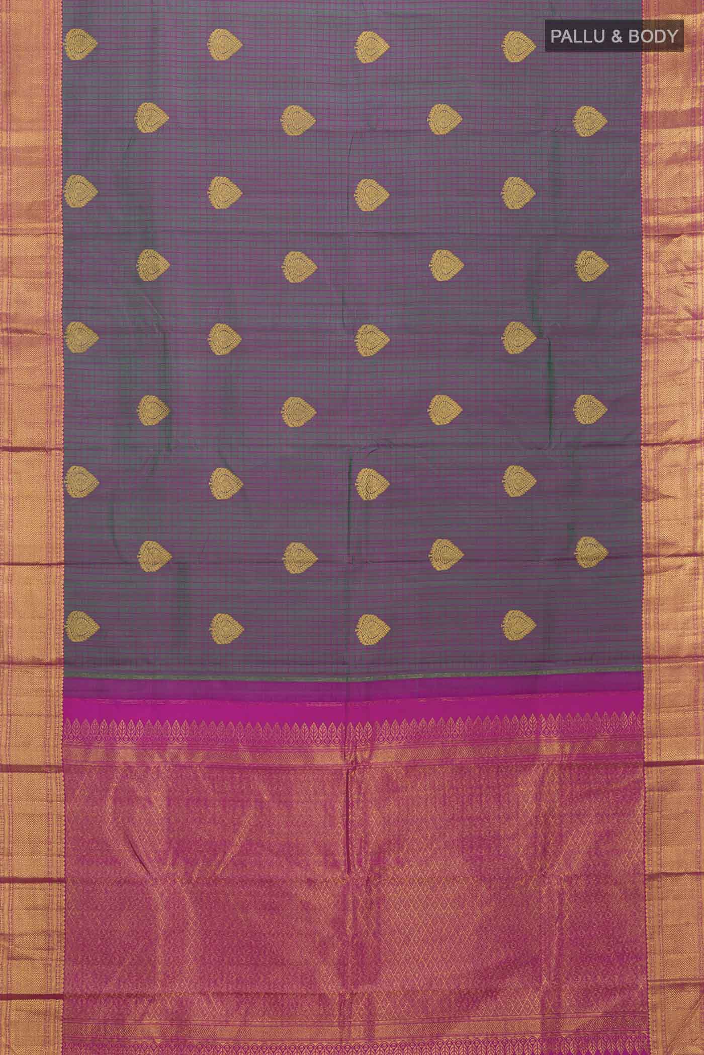 pallu body