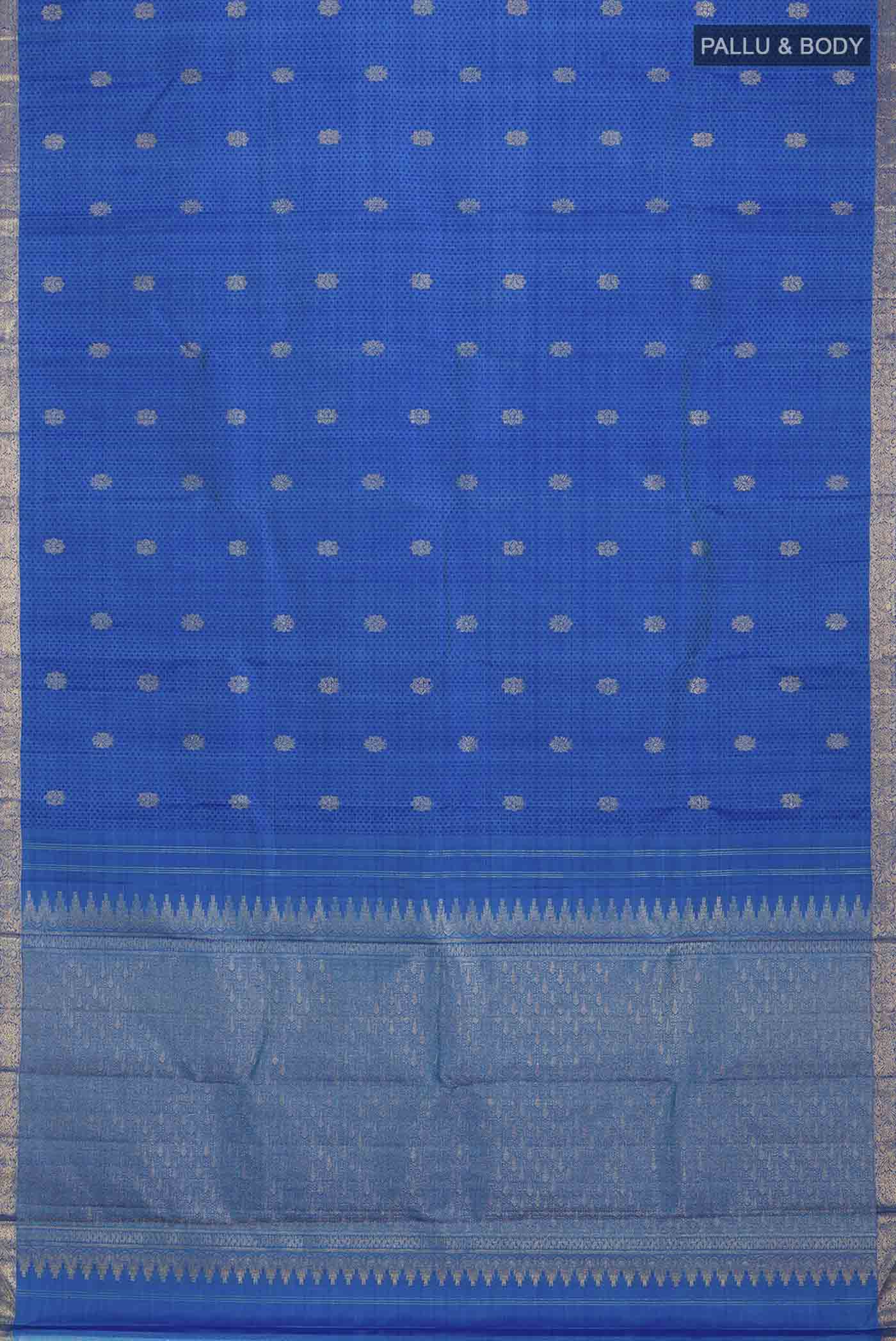pallu body