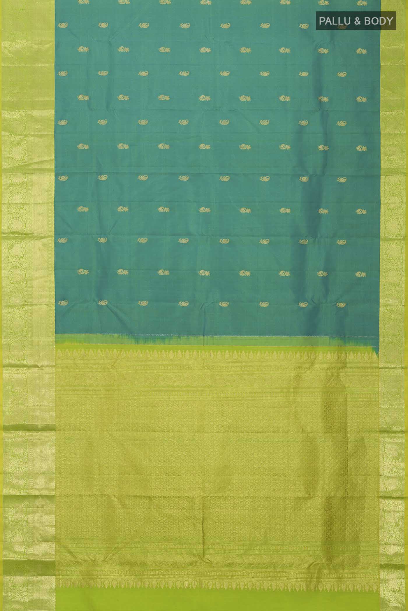 pallu body