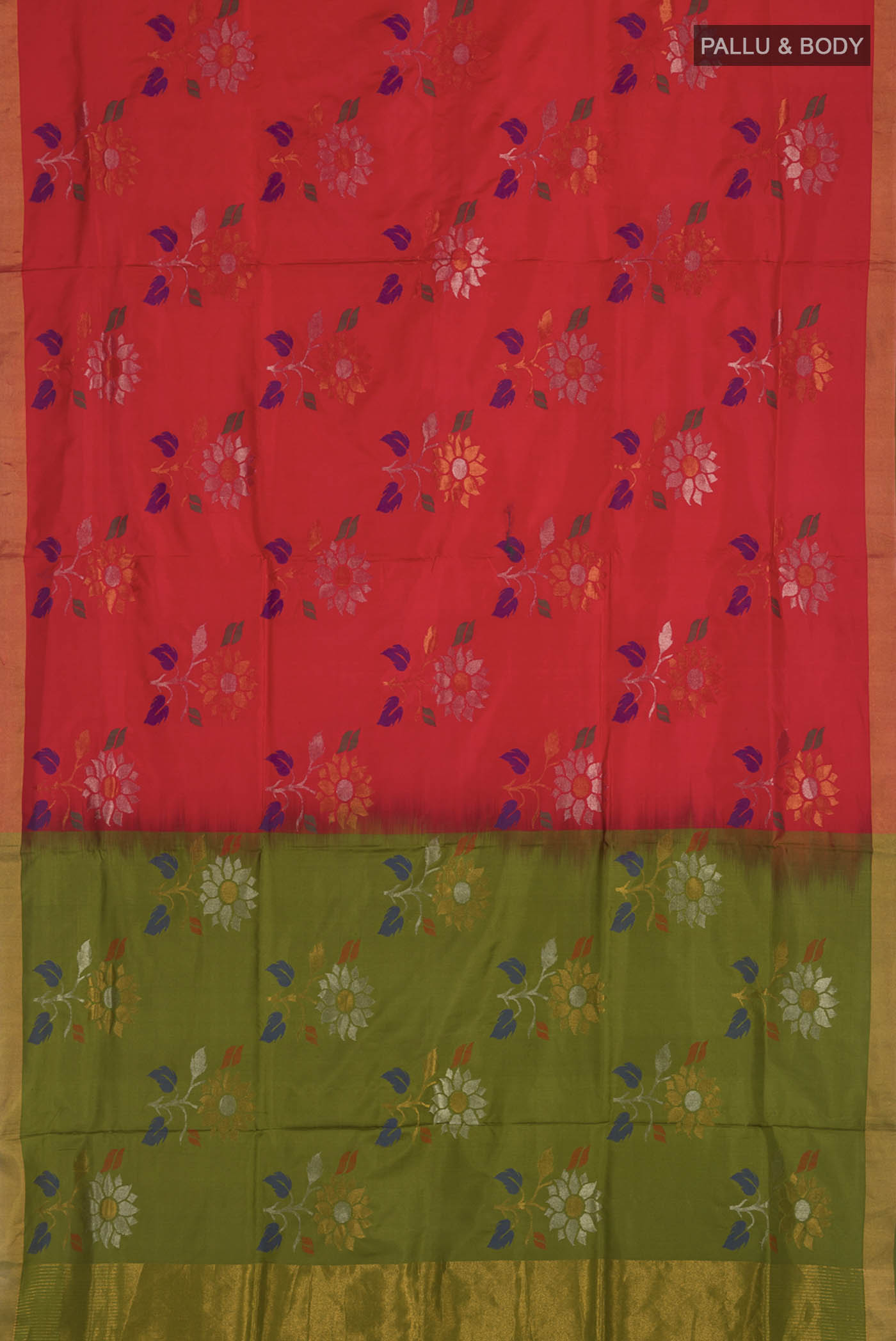 pallu body