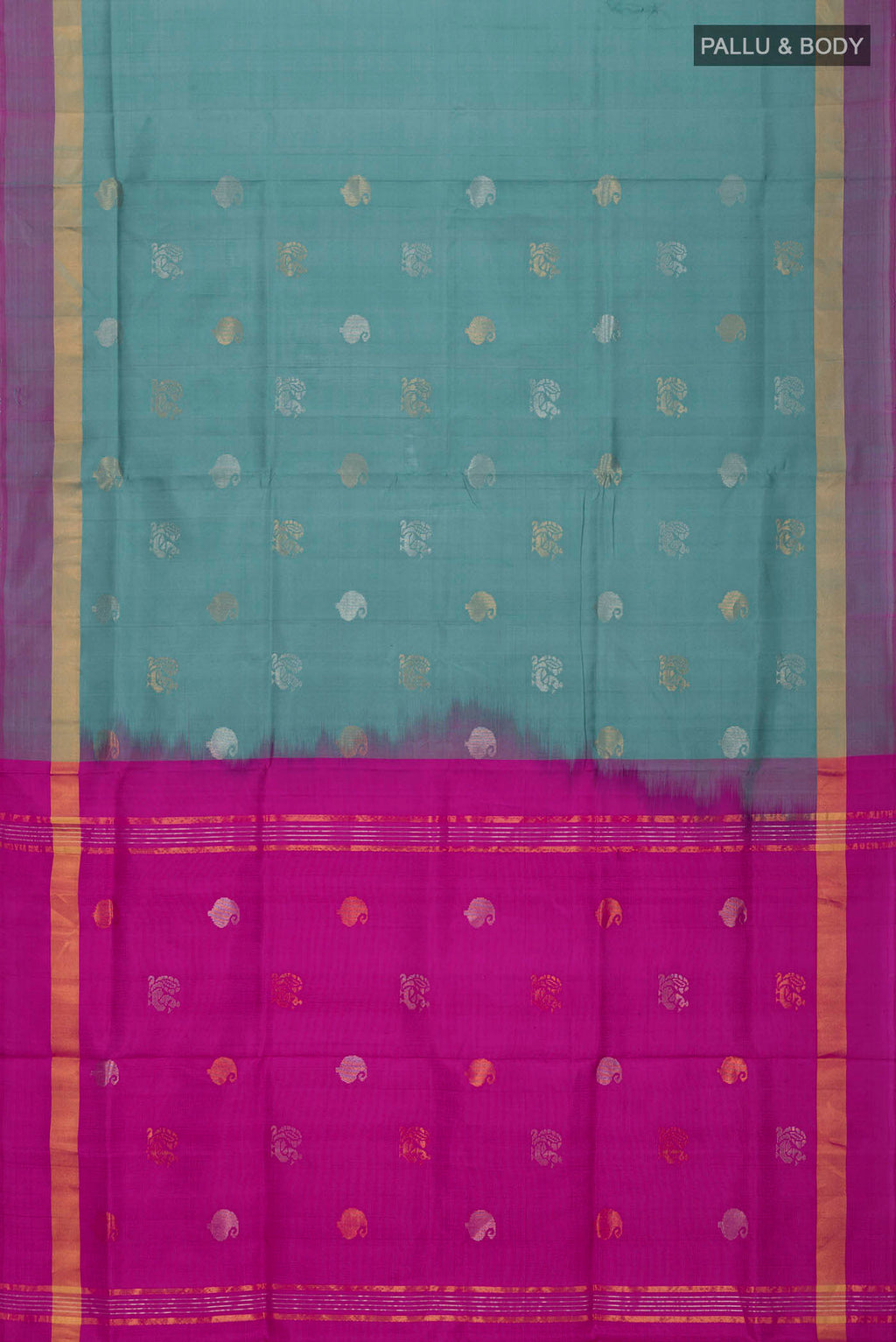 pallu body