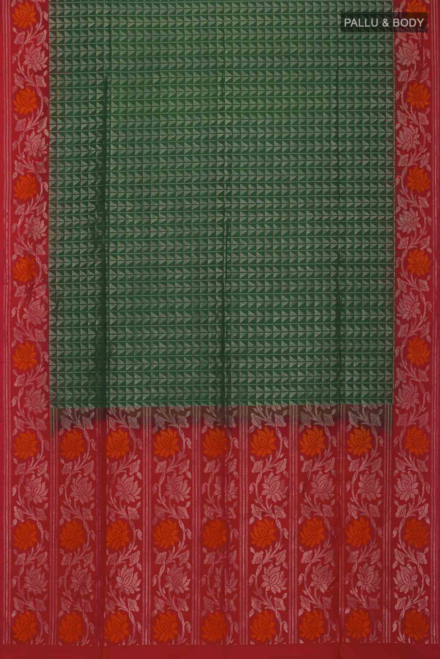 pallu body