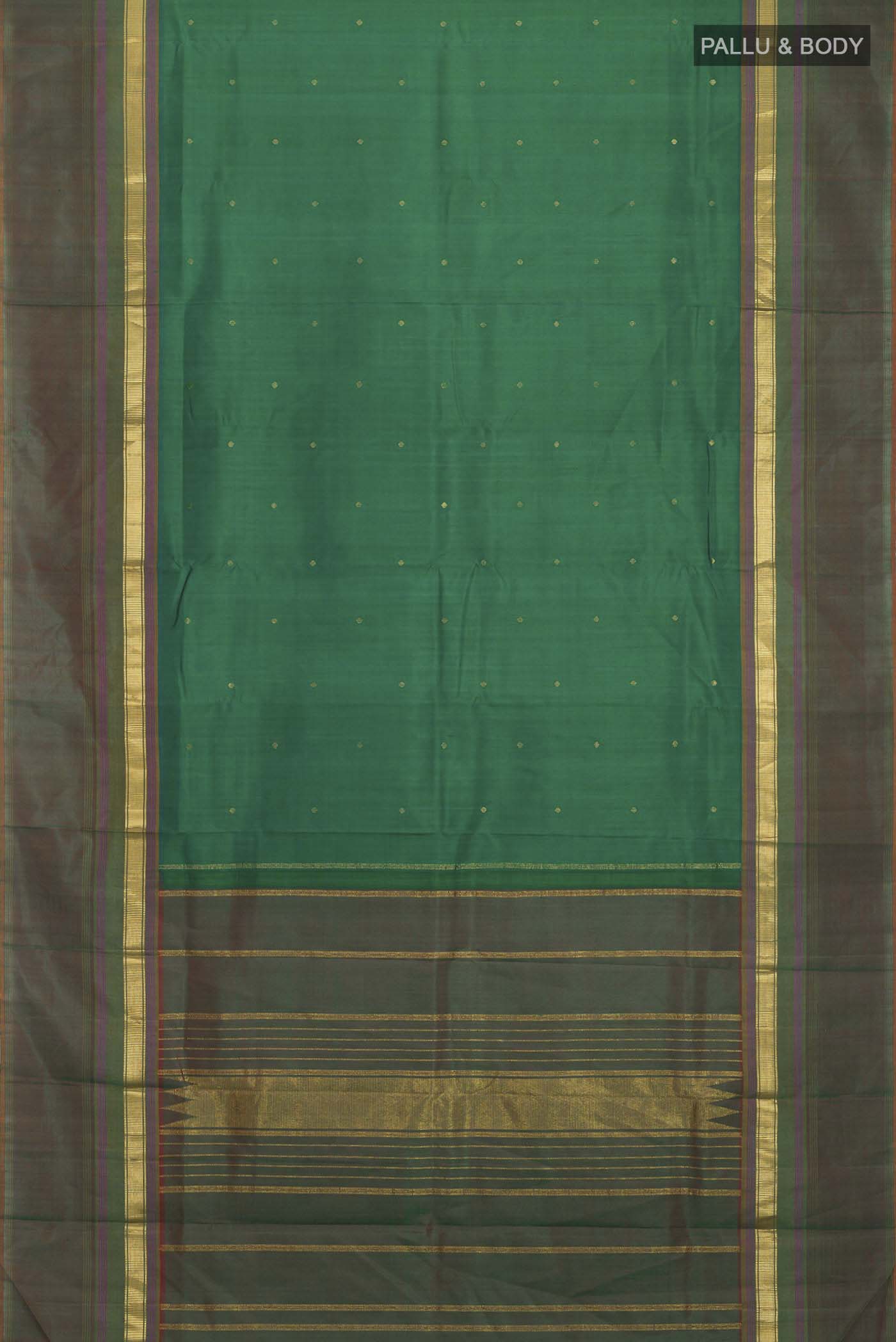 pallu body