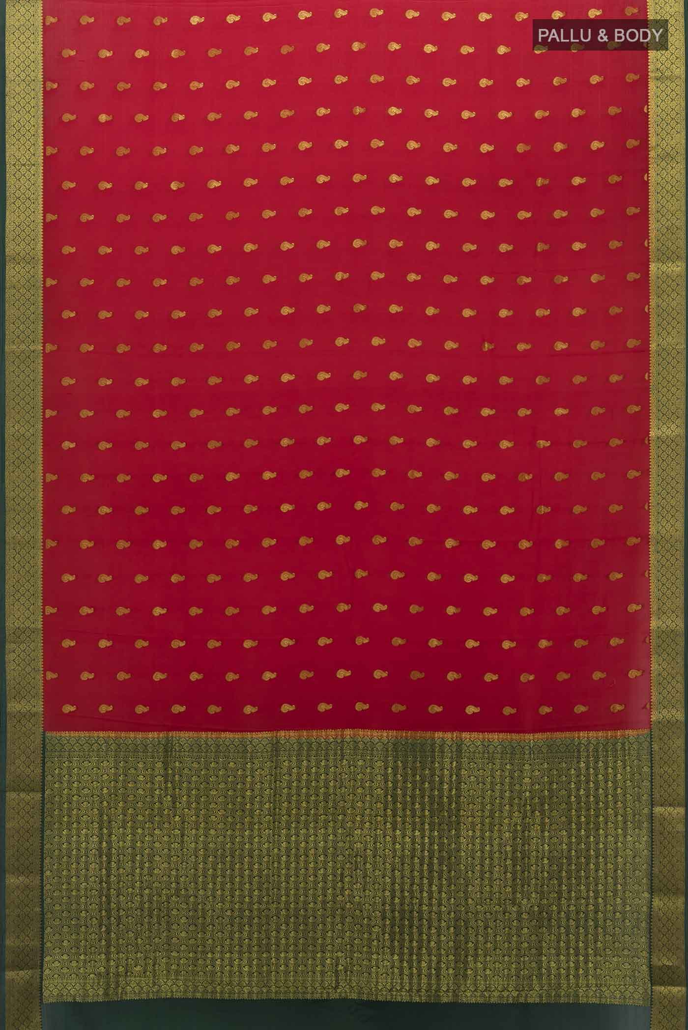 pallu body