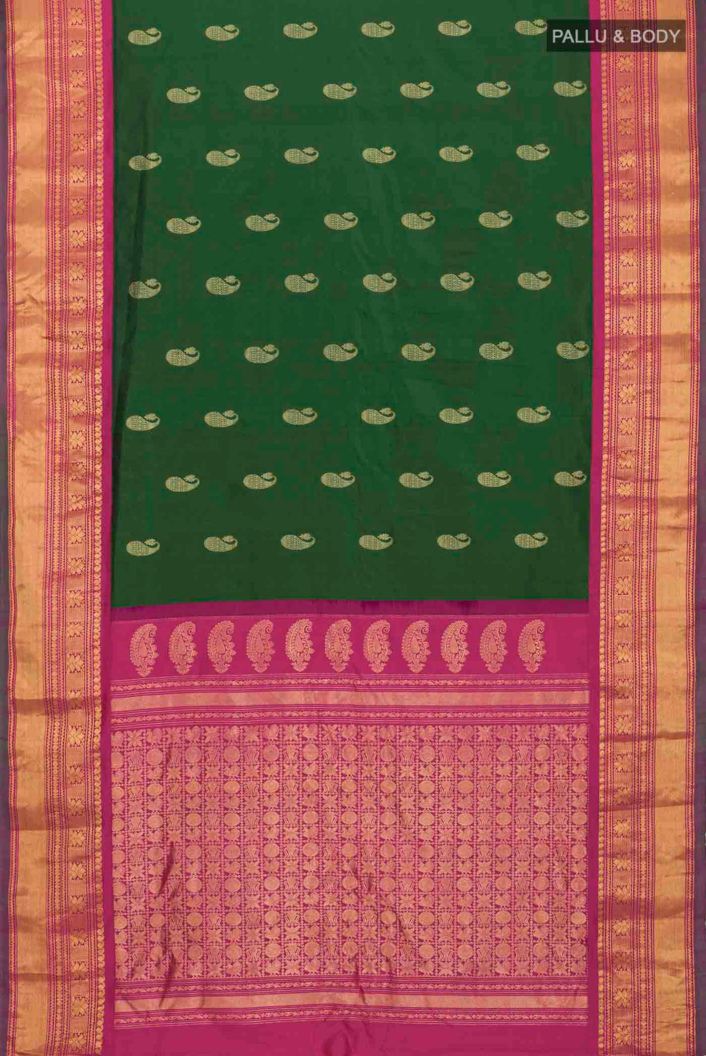 pallu body