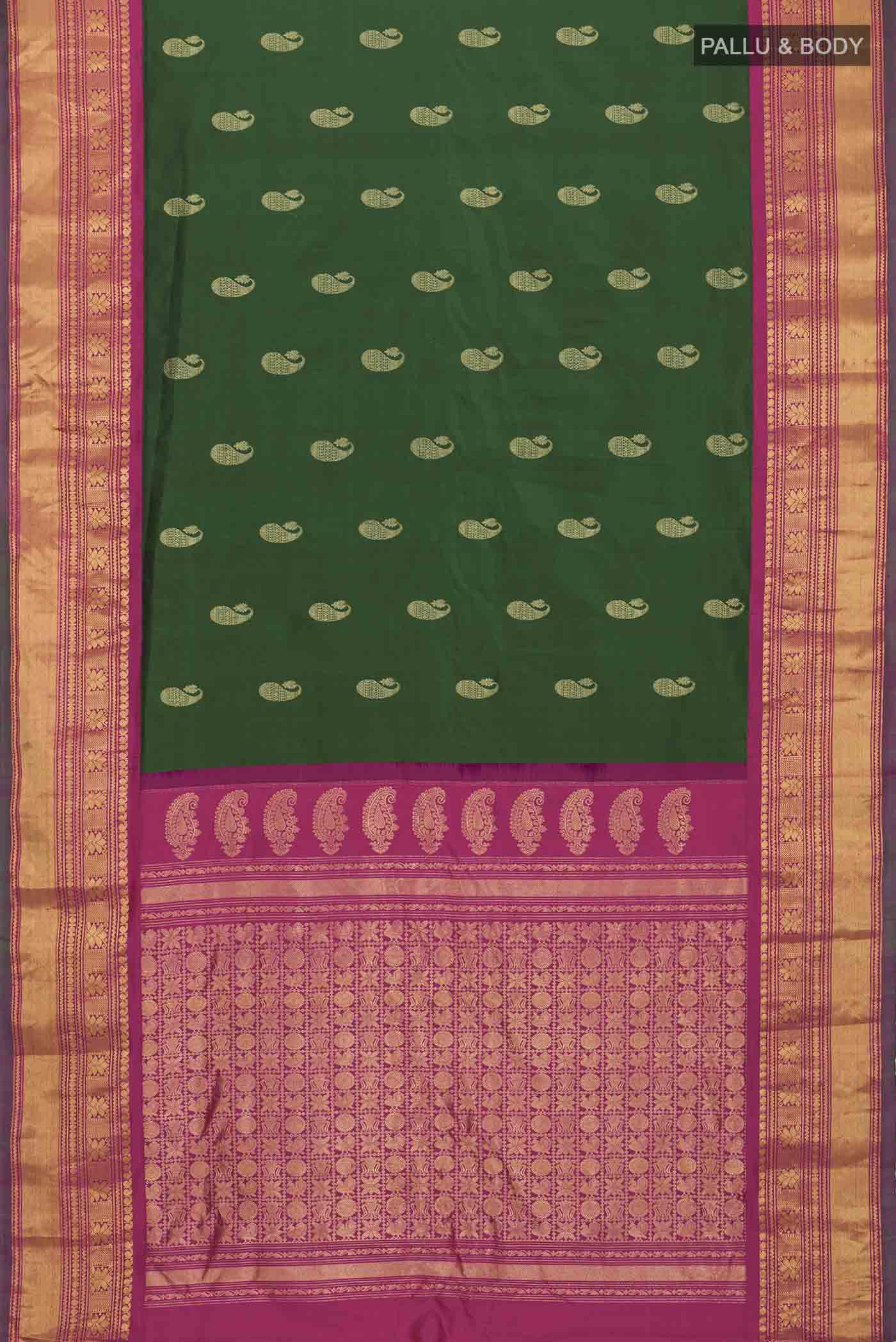 pallu body