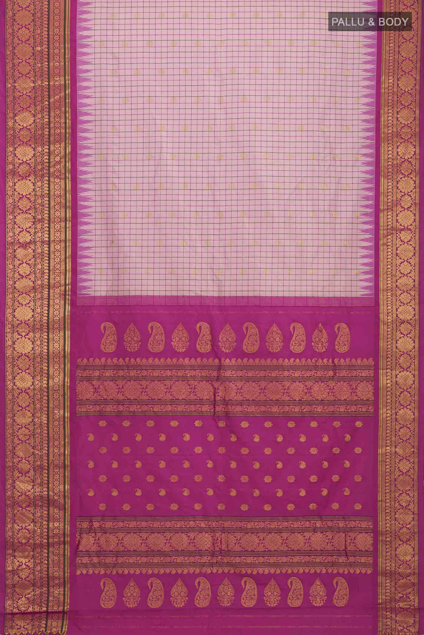 pallu body