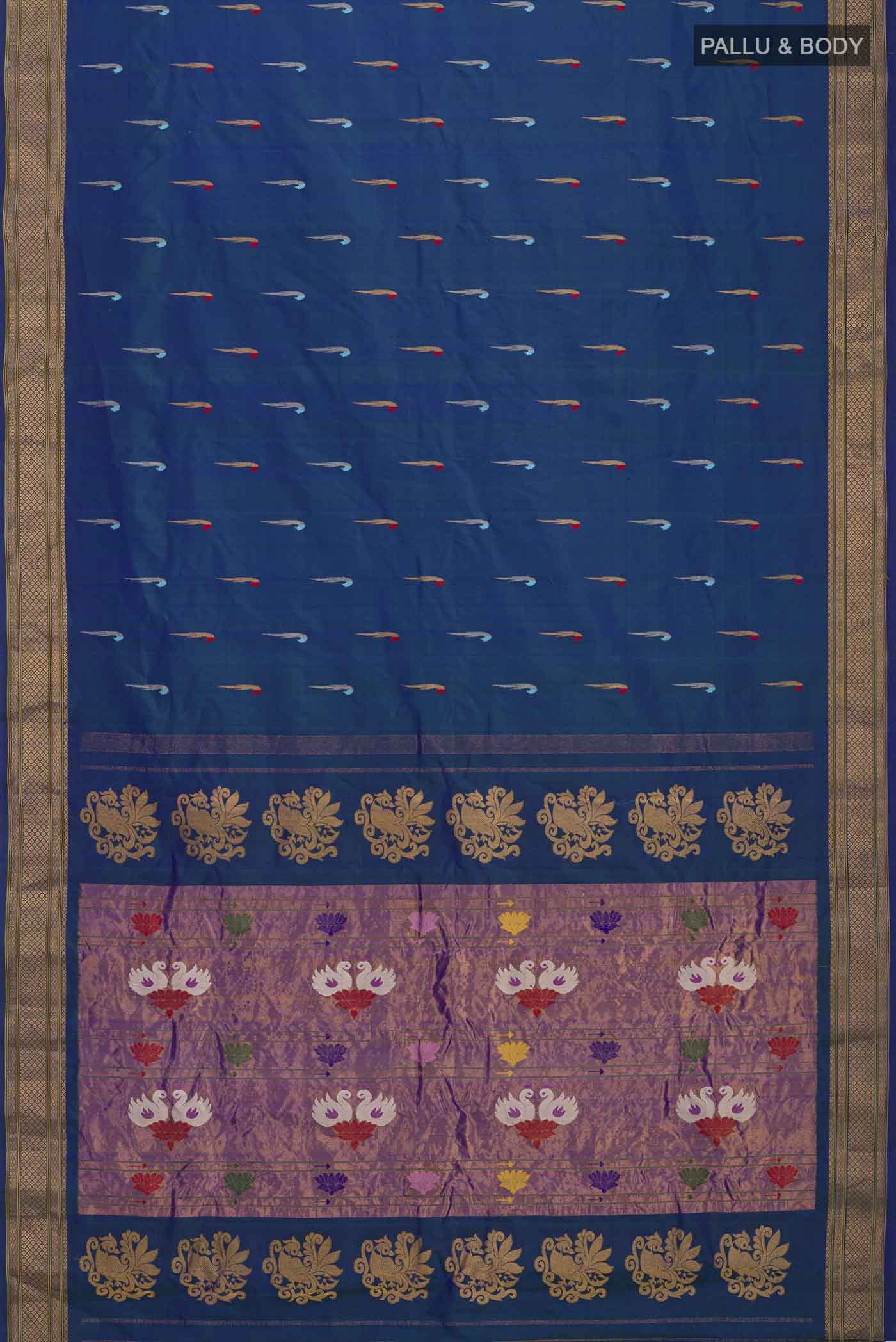 pallu body