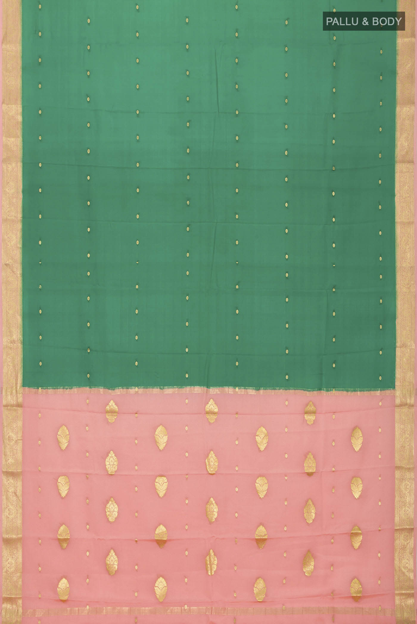 pallu body