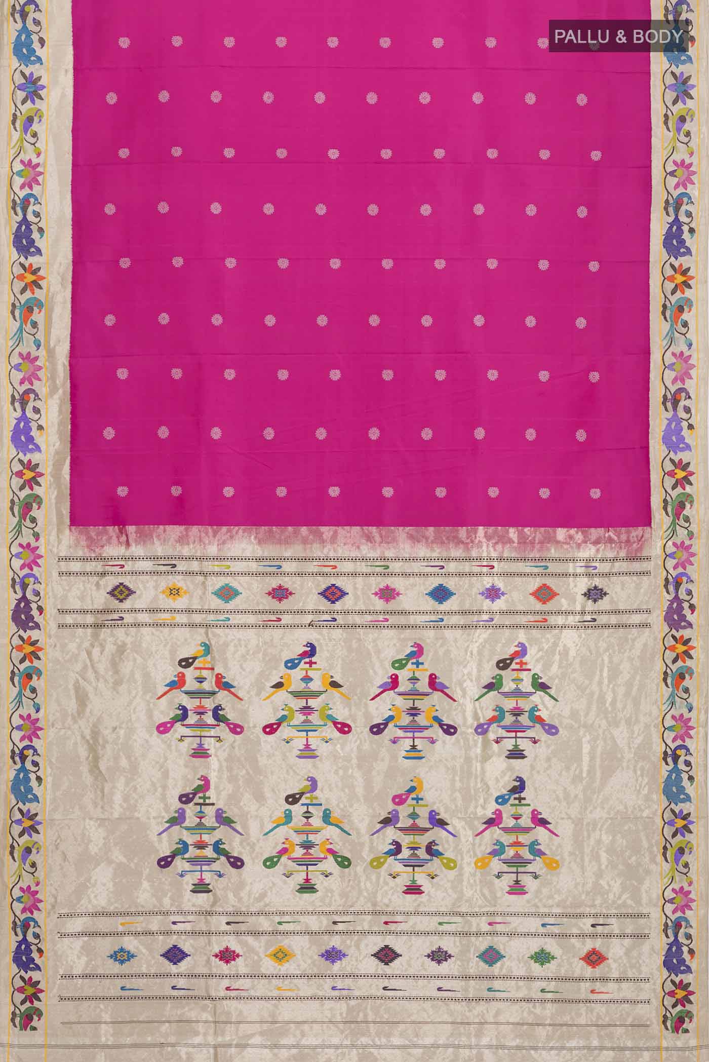 pallu body