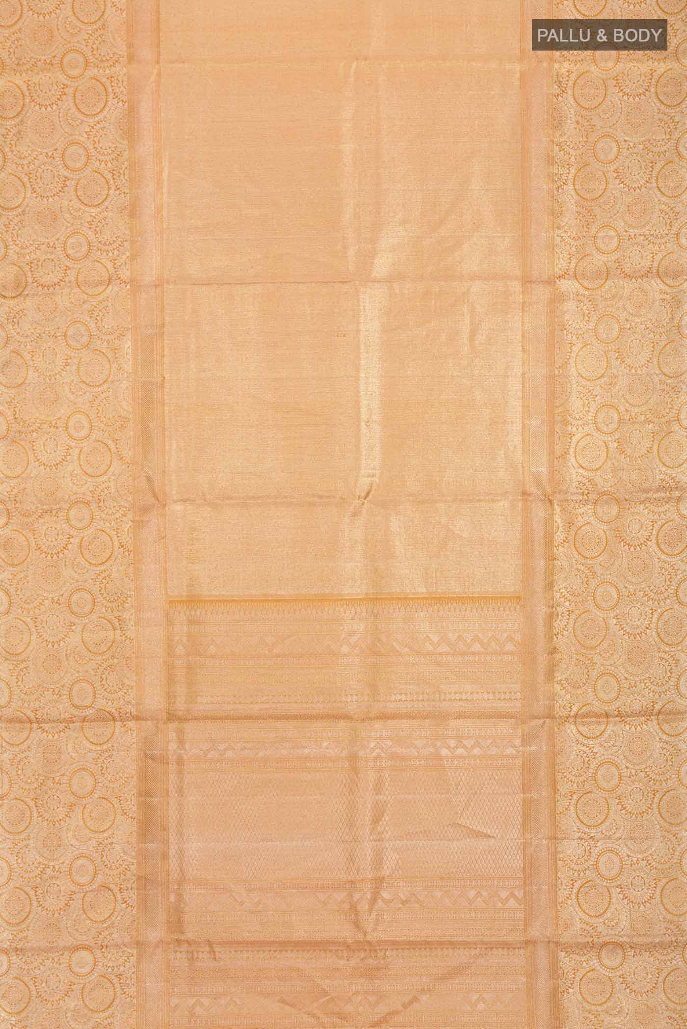 pallu body