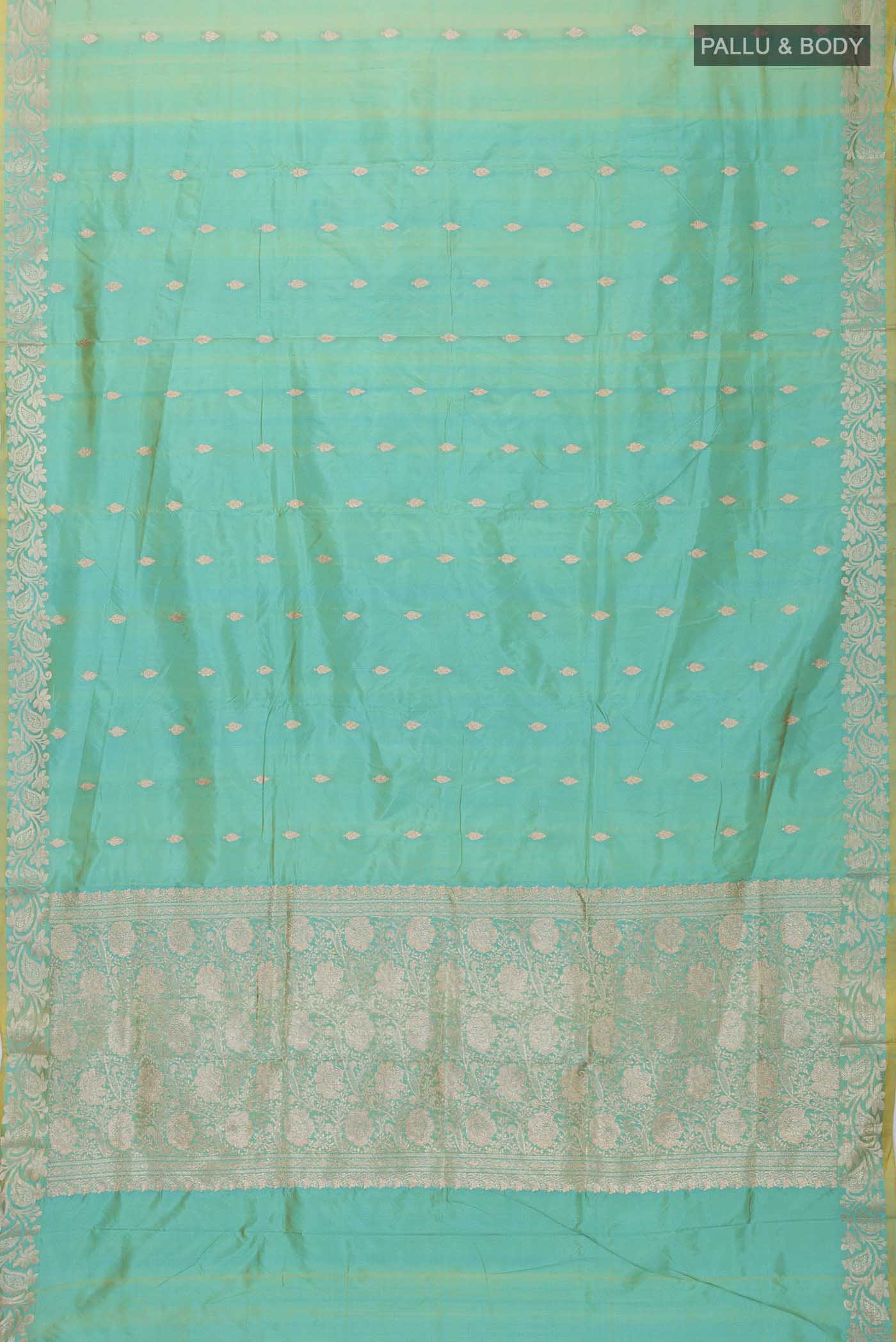 pallu body