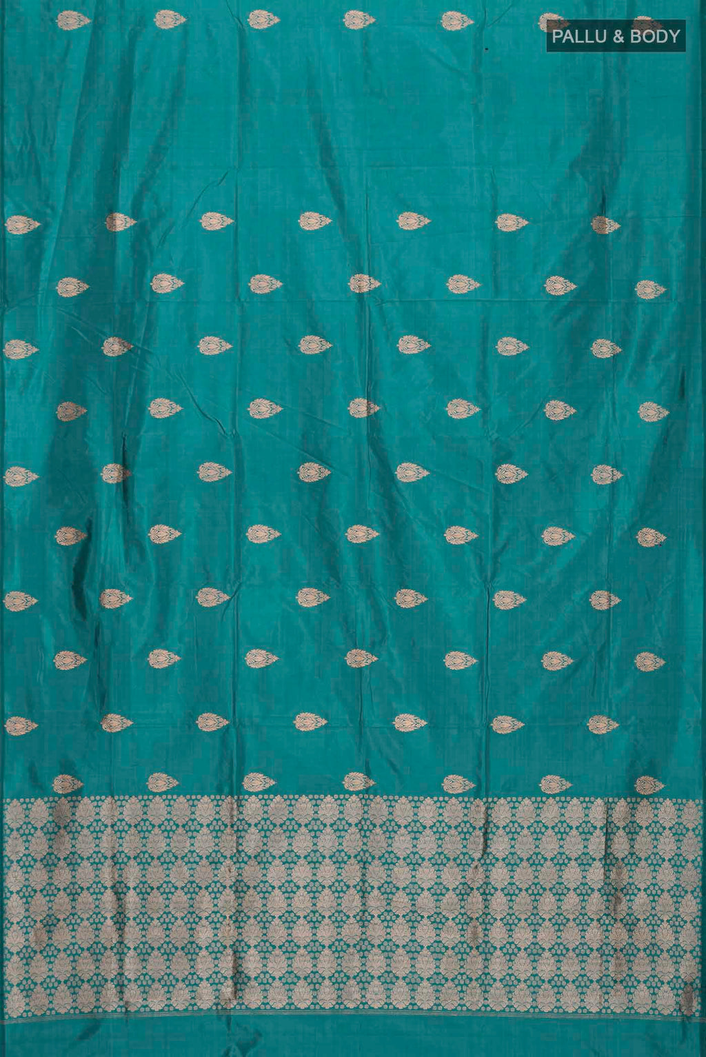 pallu body