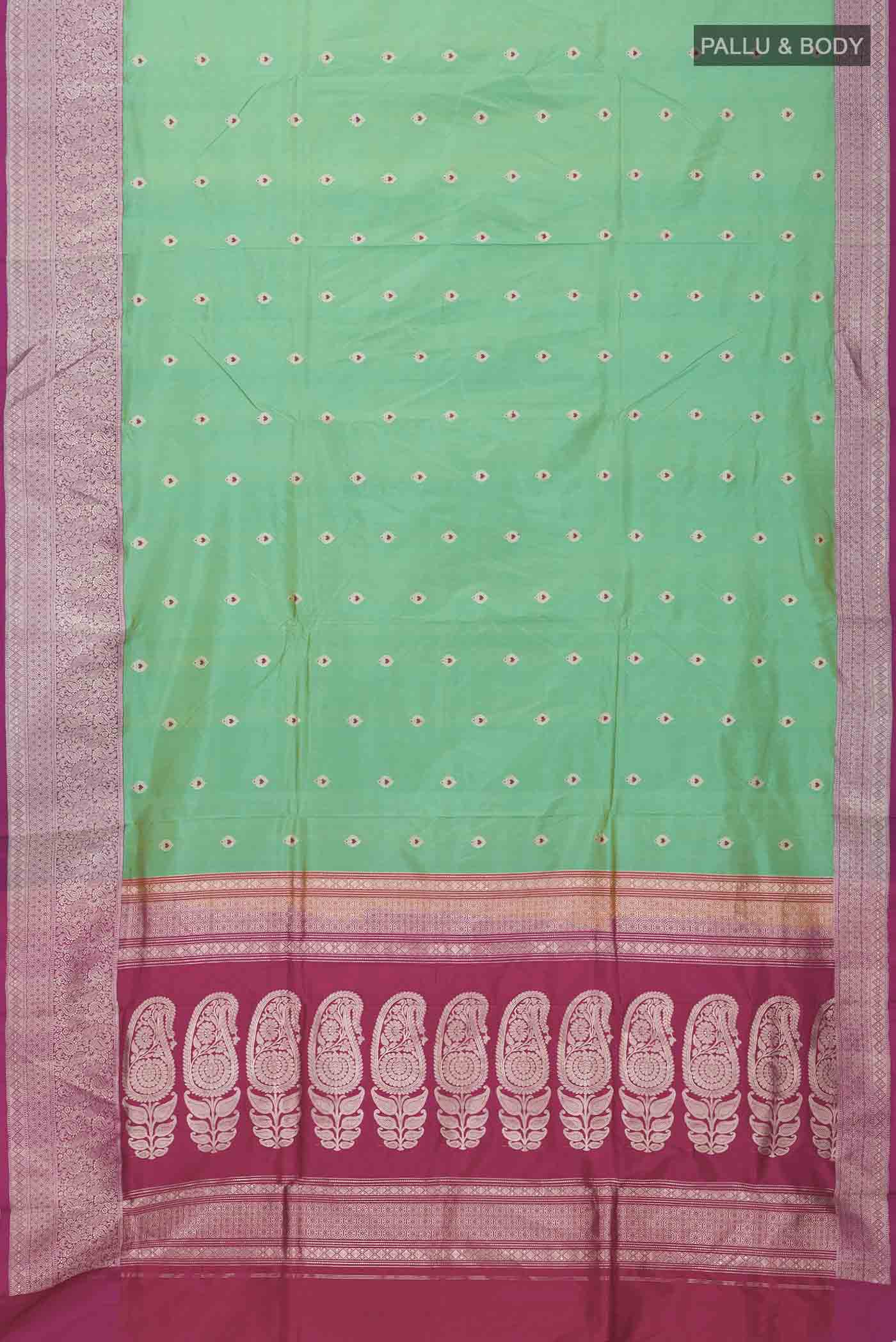 pallu body