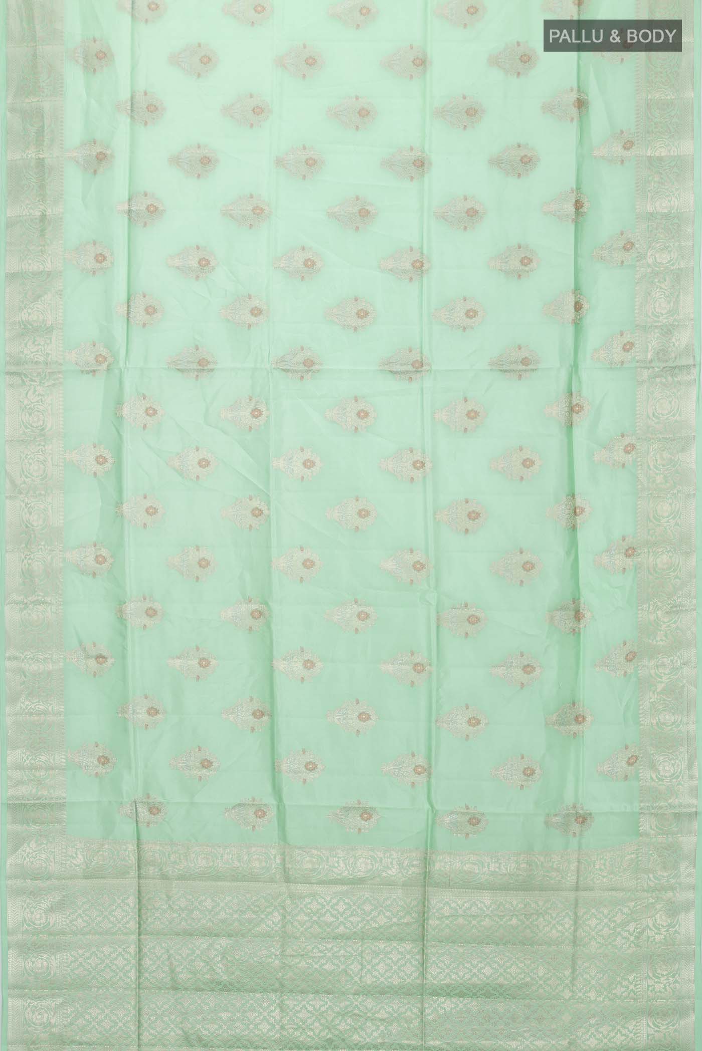 pallu body