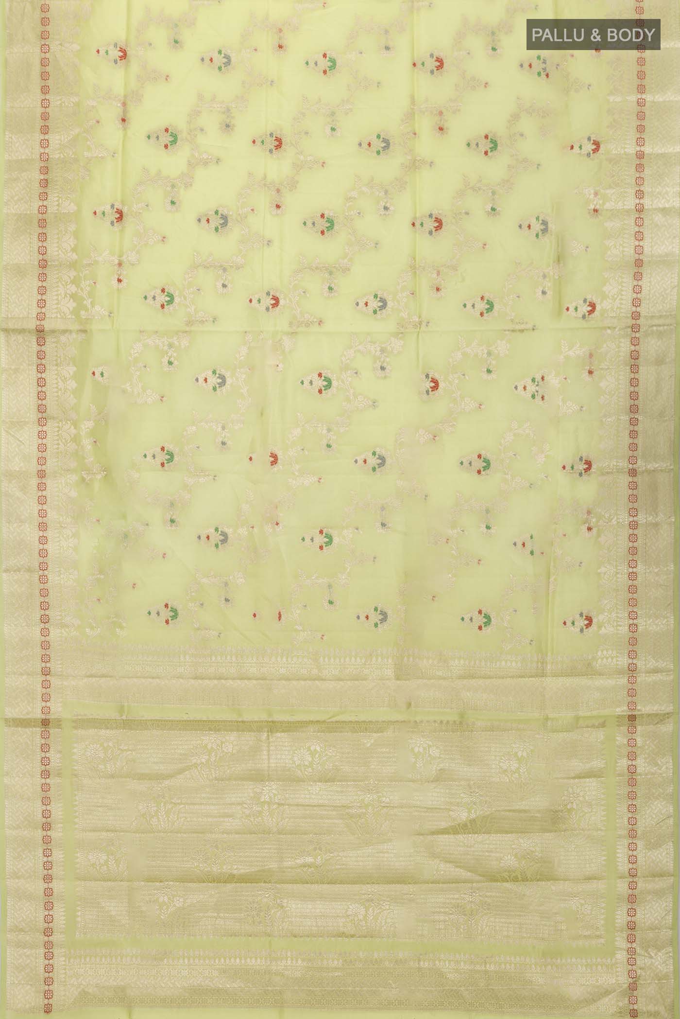 pallu body