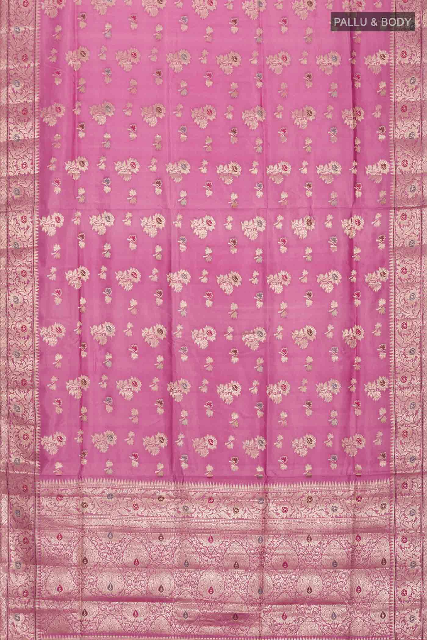 pallu body