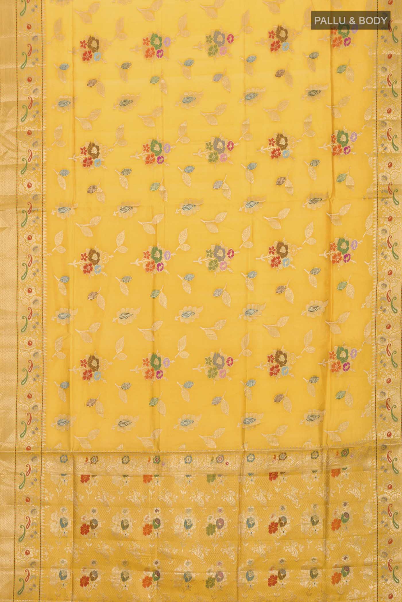 pallu body