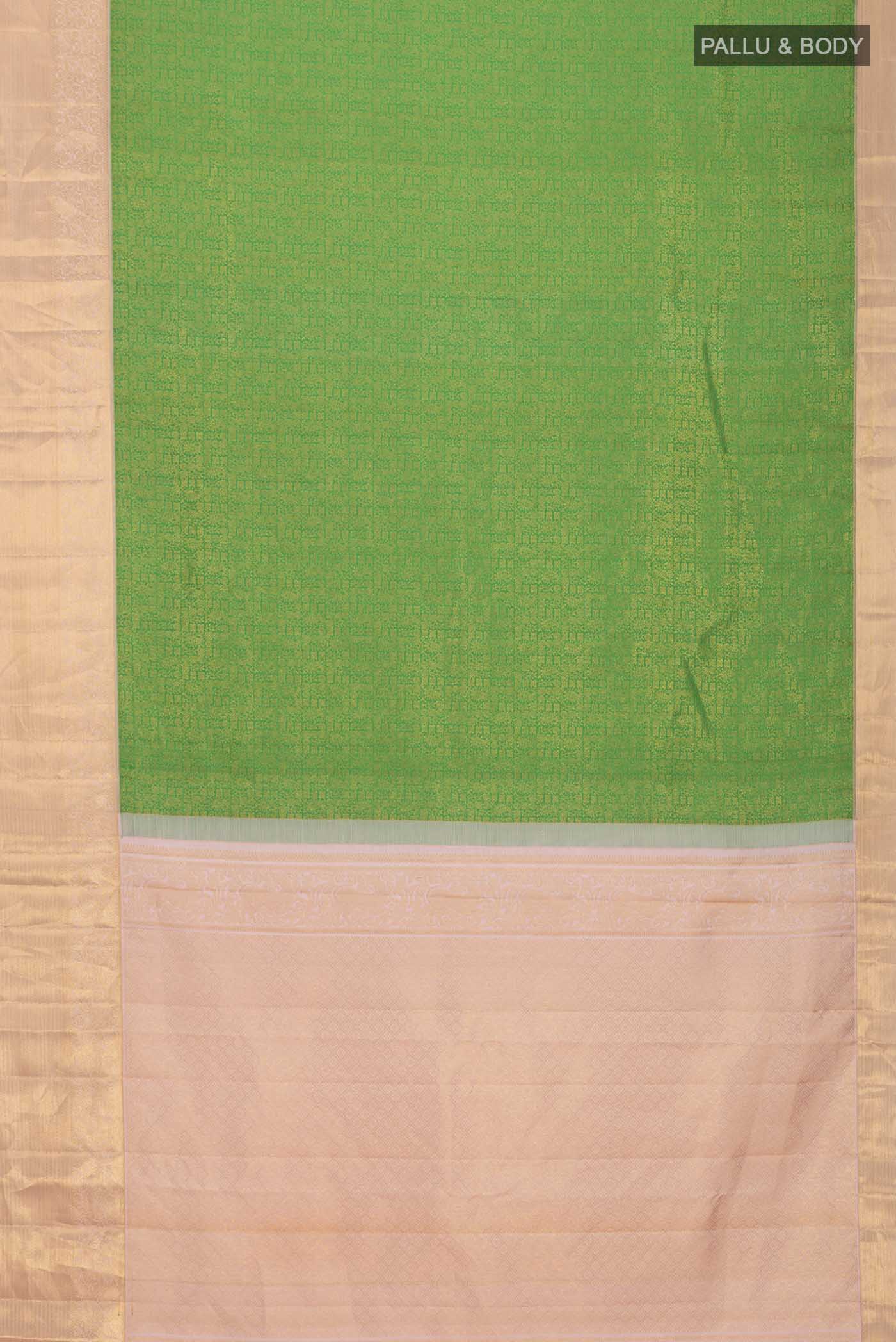 pallu body